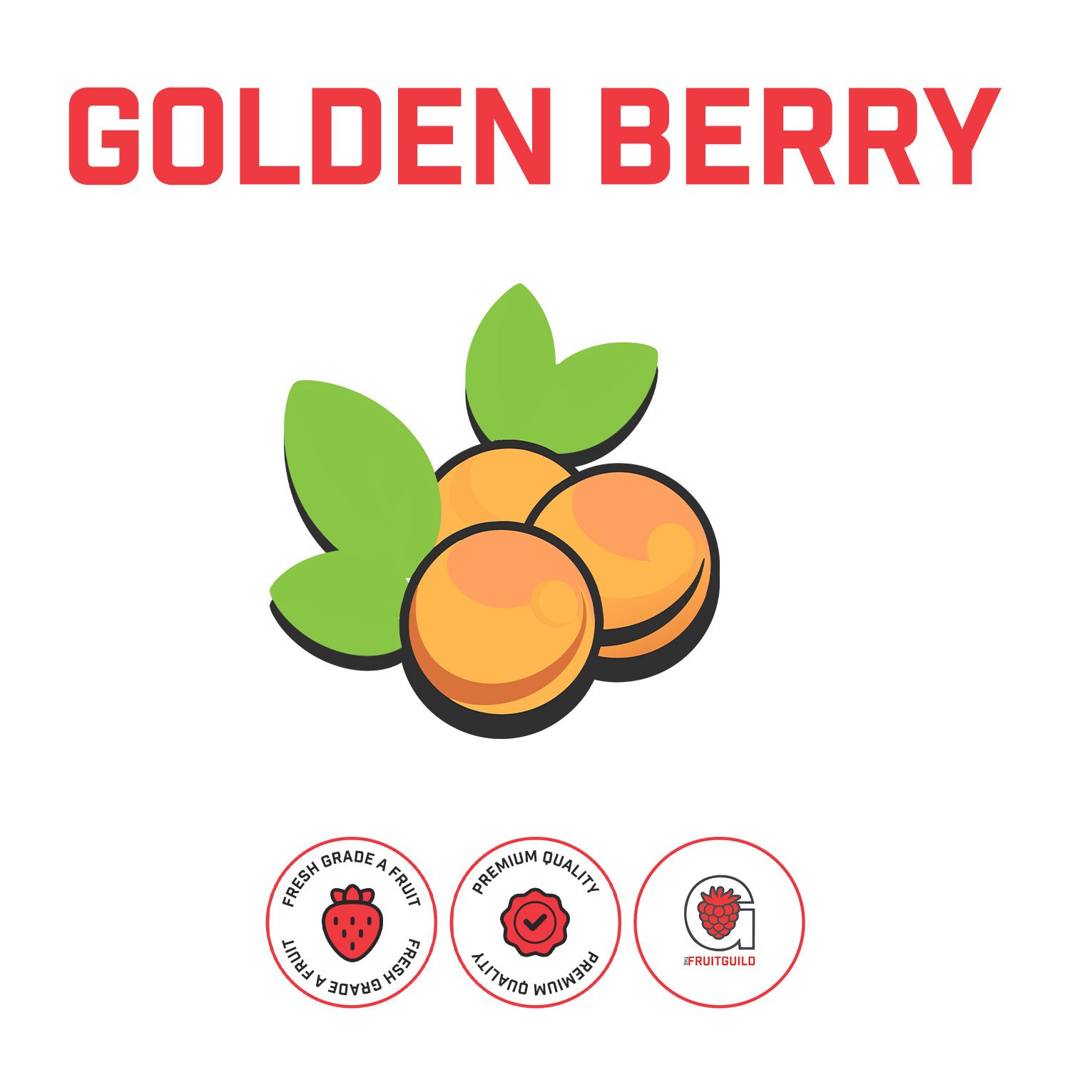 TheHopGuild_GoldenBerryPuree_Web.jpg
