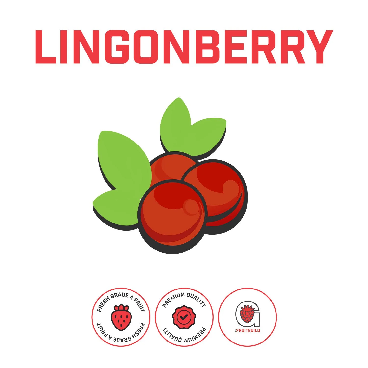 TheHopGuild_LingonBerryPuree_Web.jpg