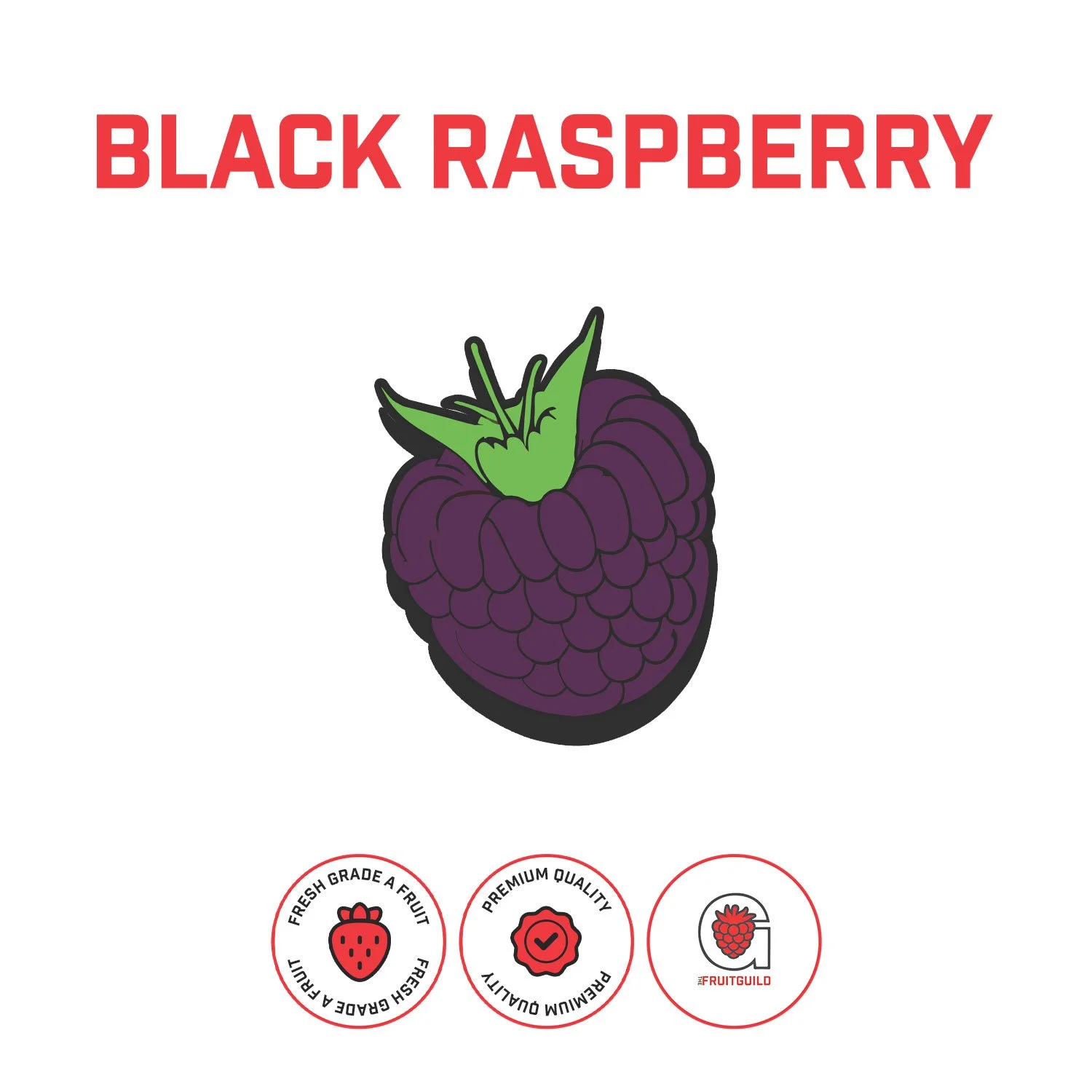 TheHopGuild_BlackRaspberryPuree_Web.jpg