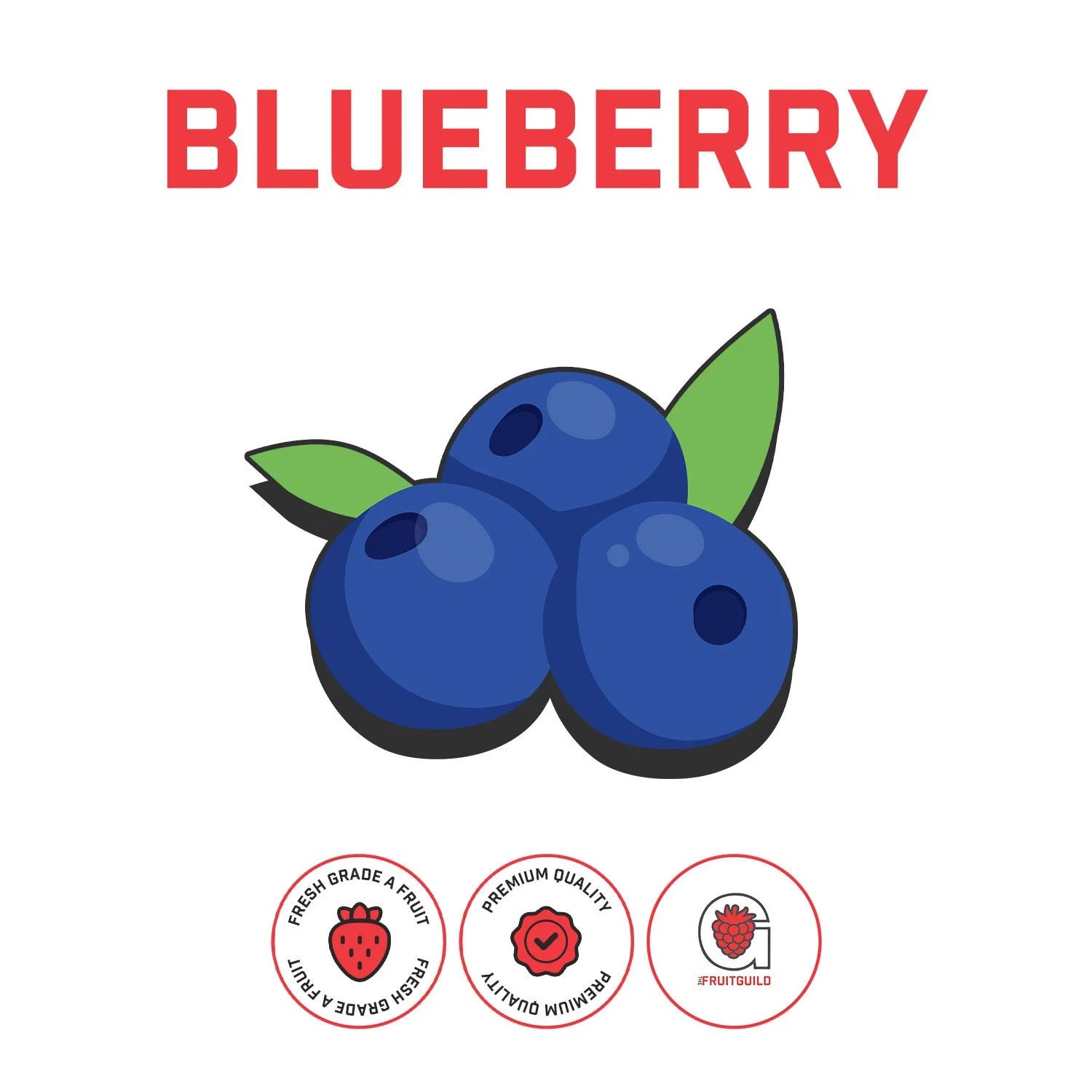 TheHopGuild_BlueberryPuree_Web.jpg