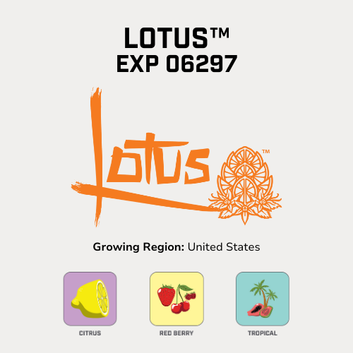 Lotus™.png