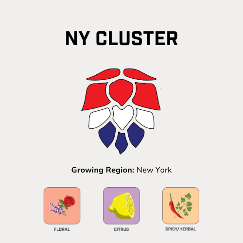 NY Cluster.png