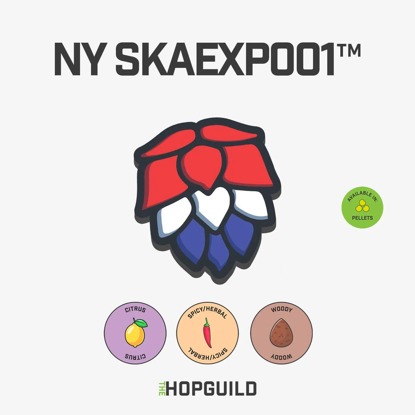 TheHopGuild_NYSKAEXP001_Tile.jpg