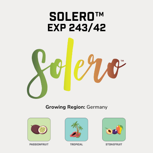 Solero™.png