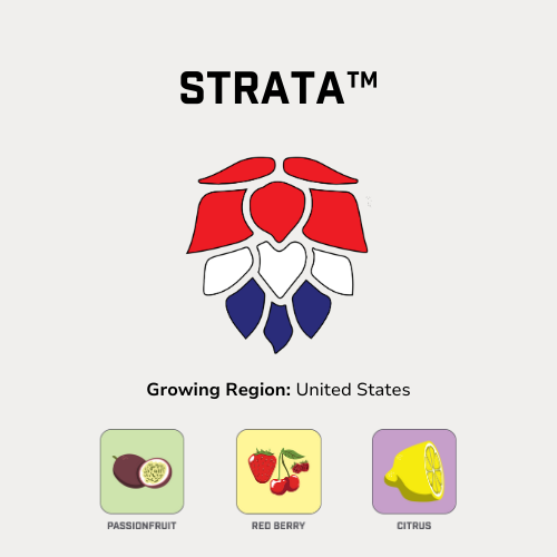 Strata™.png