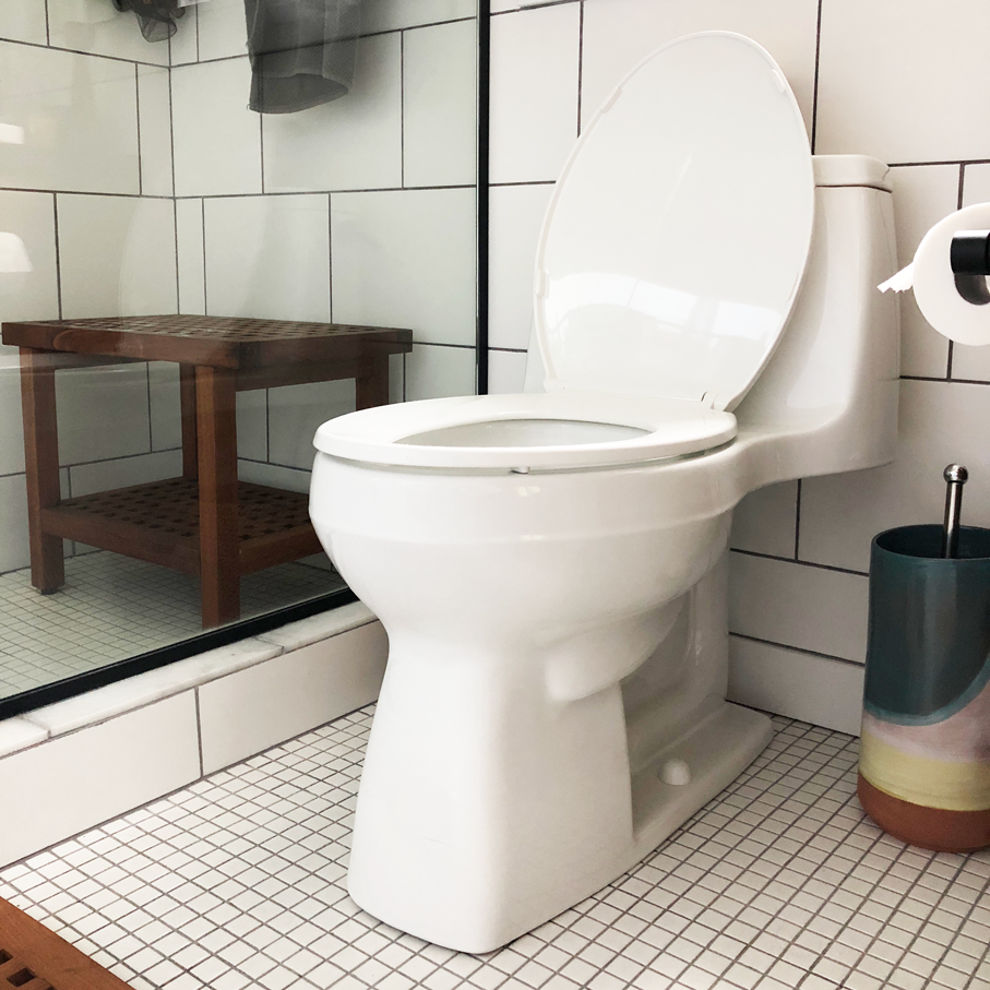 toilet.png