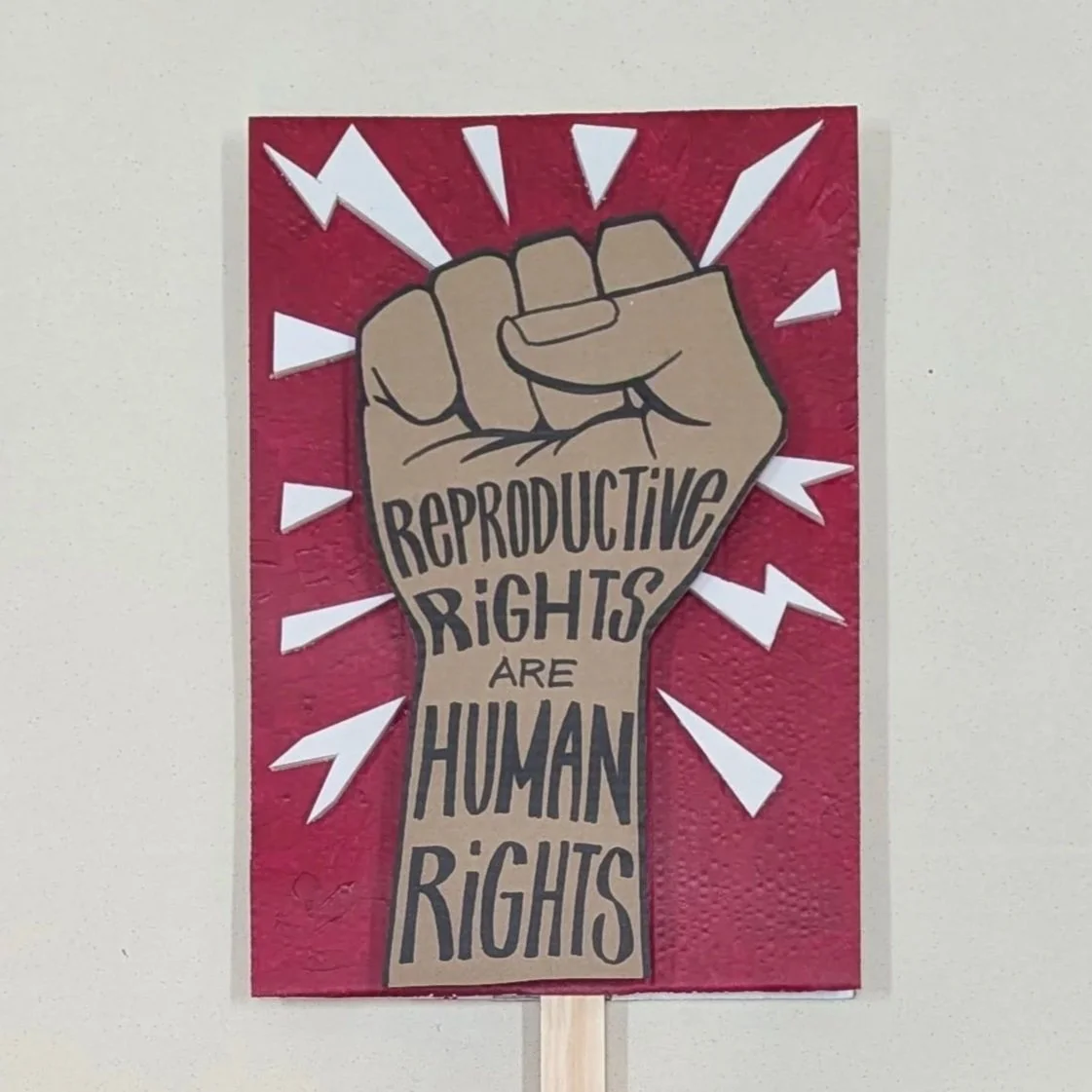 Repro Rights.jpg