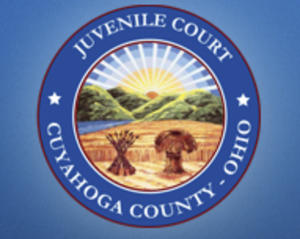 CC Juvinile Court Logo.png