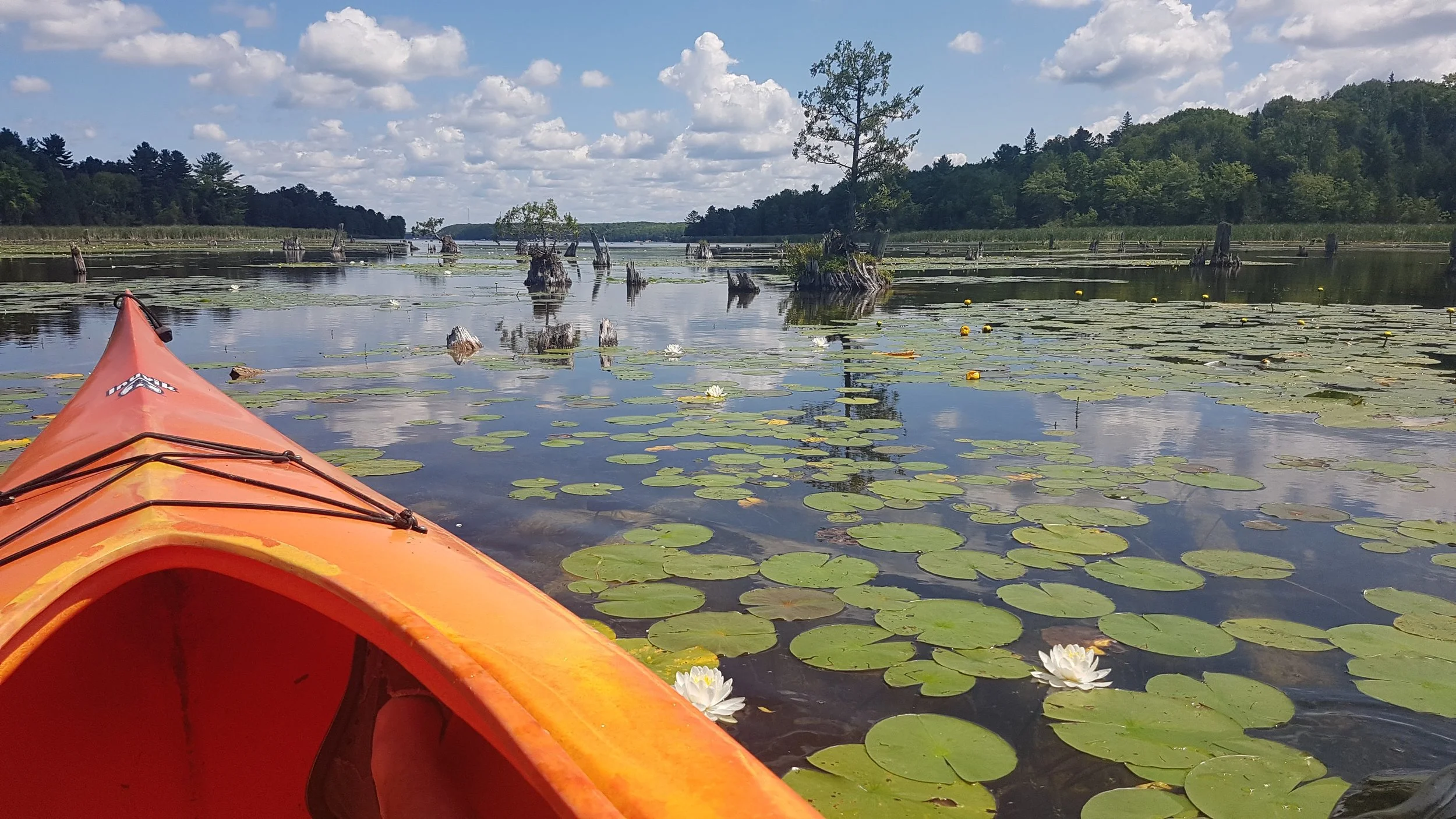 Kayaking in the Kwarthas