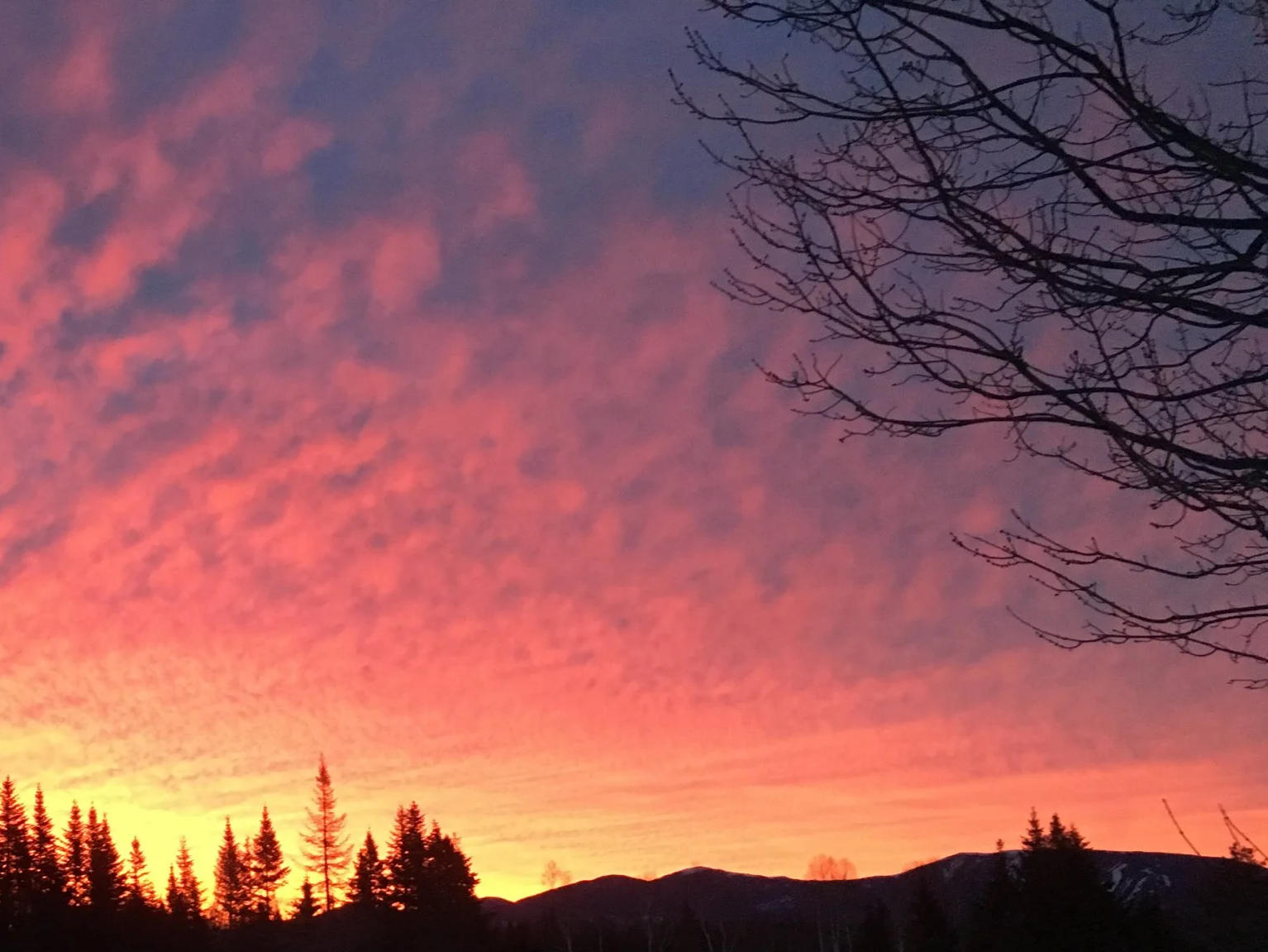 sunrise319.png
