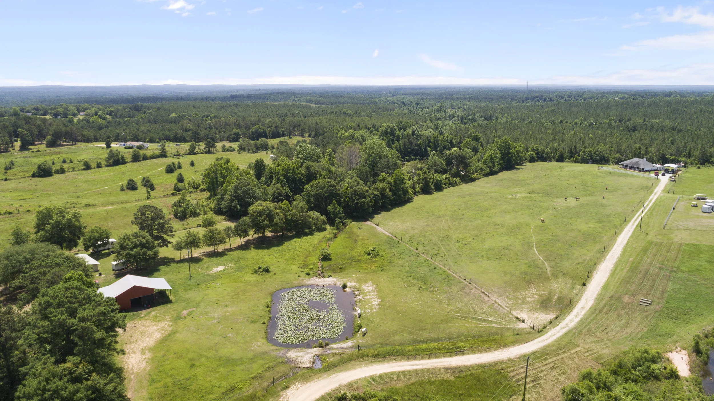 DJI_0321_ambient2.jpg