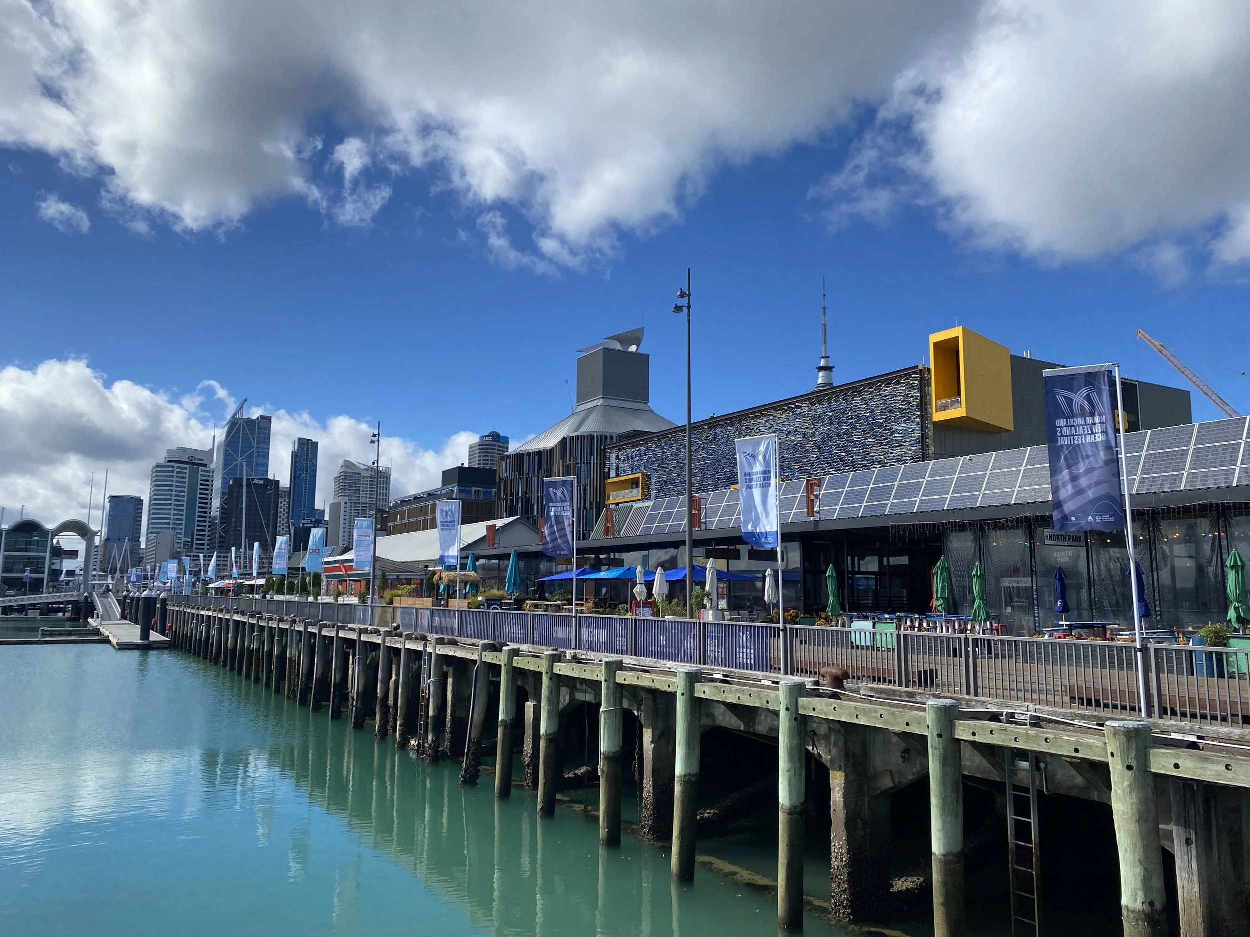 Moana Swing Arms 2024.JPG