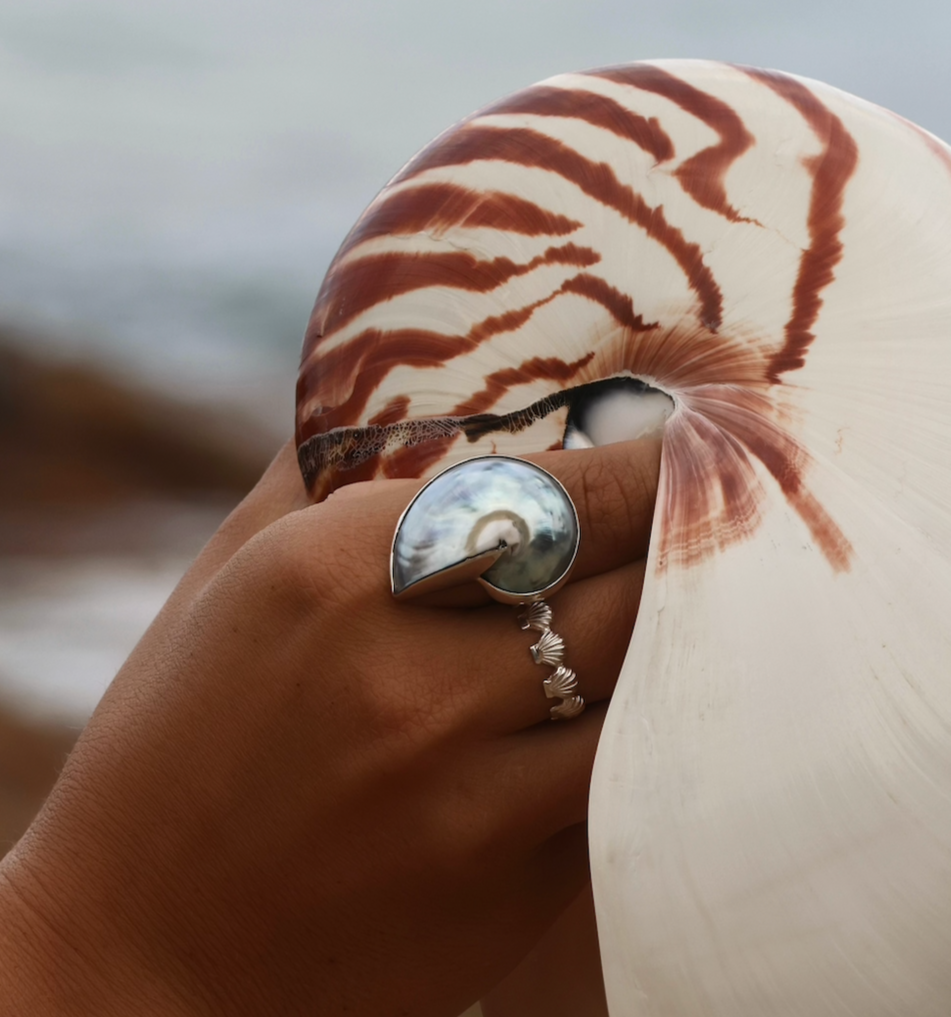 Deep Sea Nautilus ring 5-7