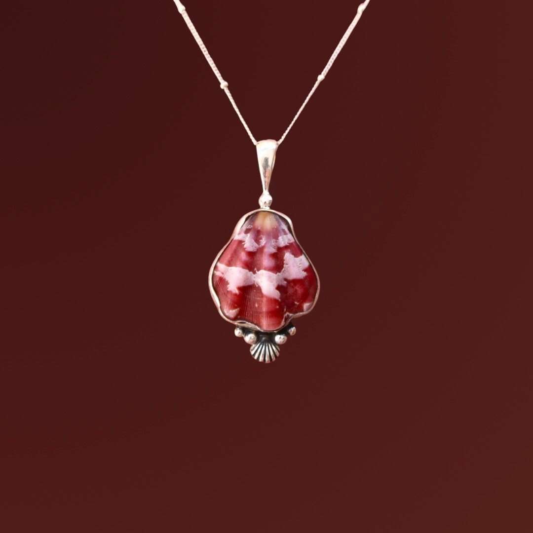 Clam and Japanese Decatopecten Necklace