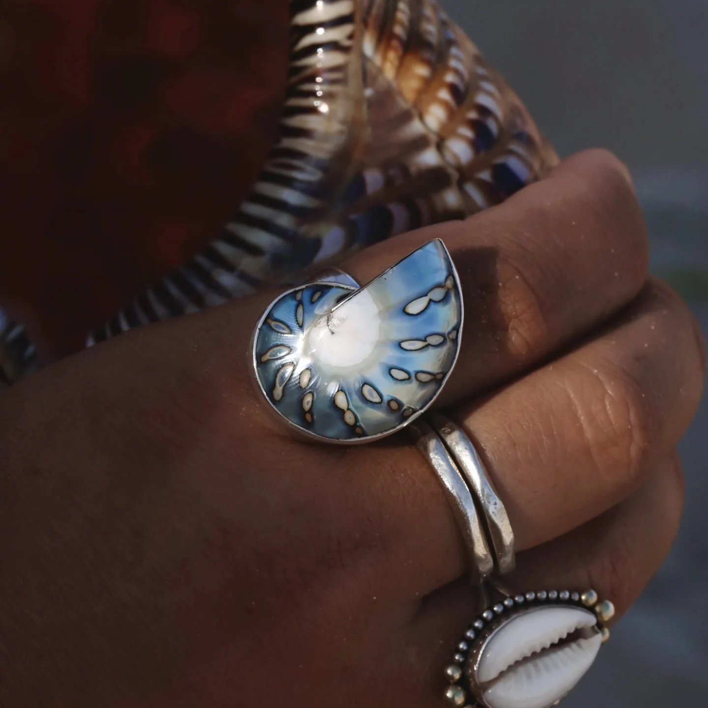 Nudibranch Nautilus .jpg