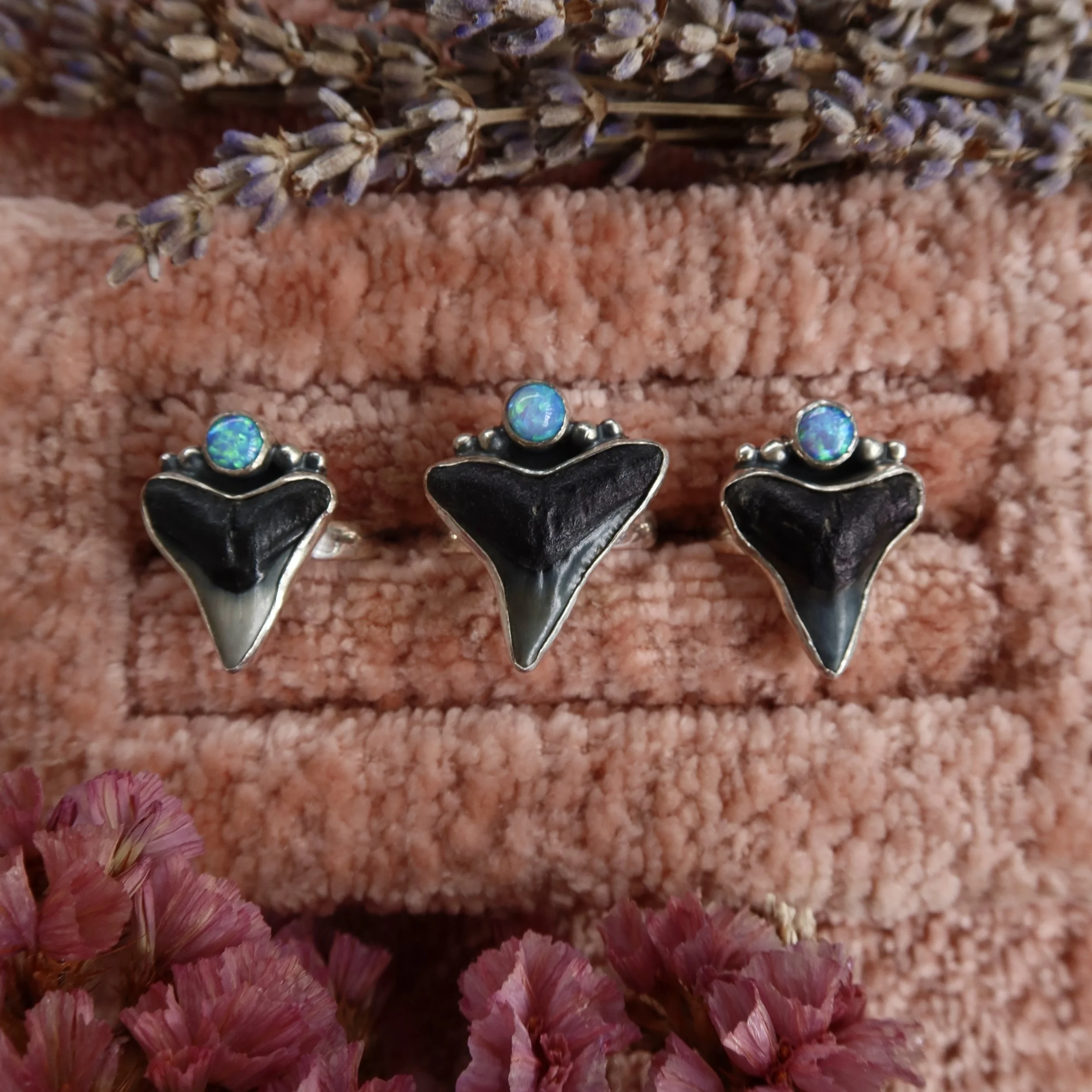 IMG_8800 2.jpg (Copy) (Copy)