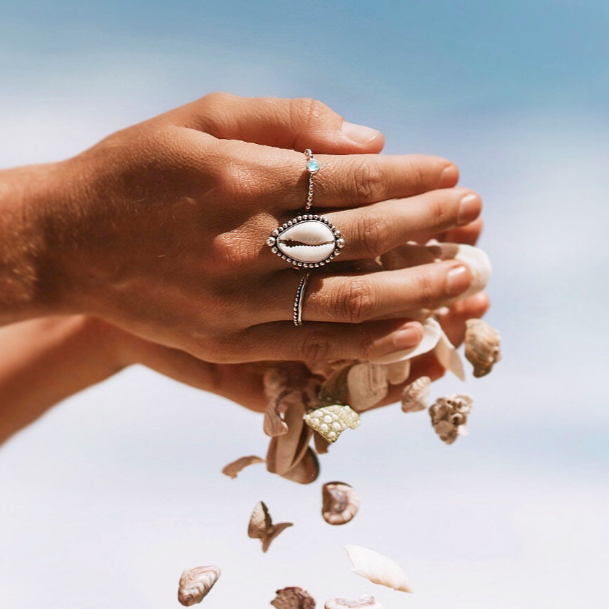 Silver Triple Dotted Cowrie