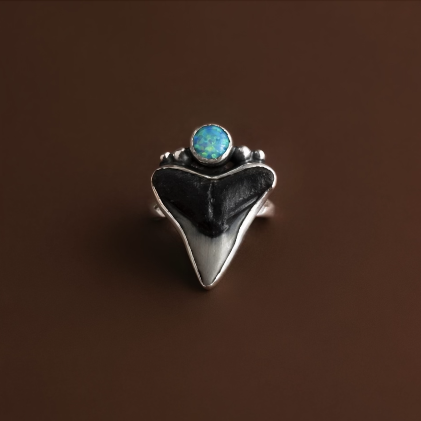 Screenshot 2026-03-22 at 1.05.16 PM.png