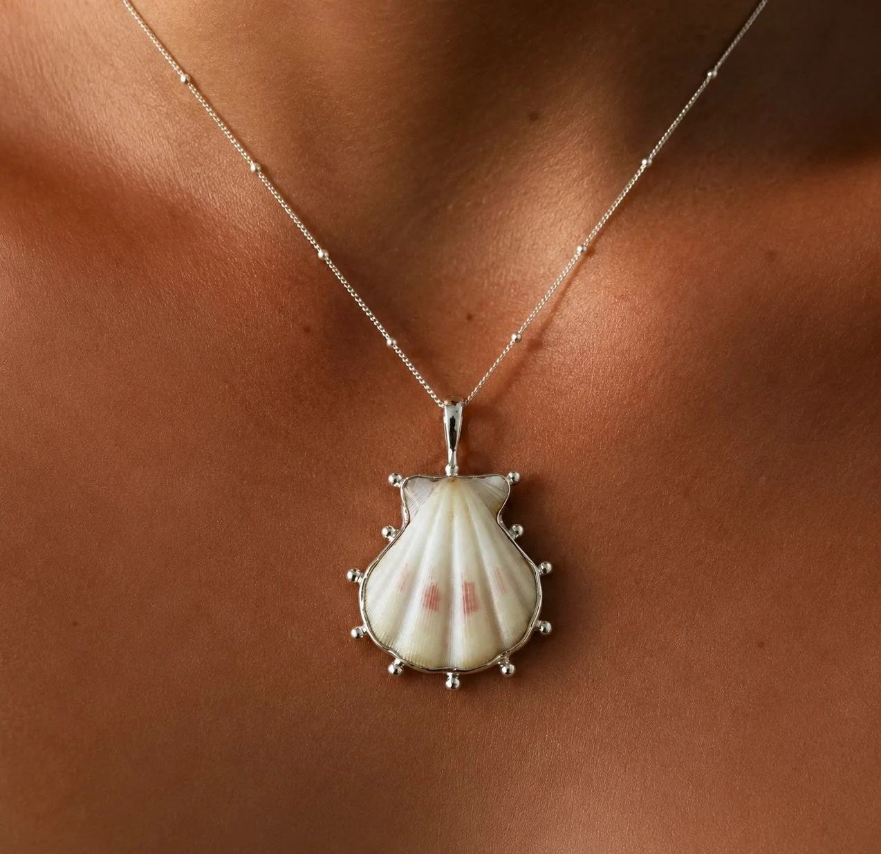 WhitePecten.jpg