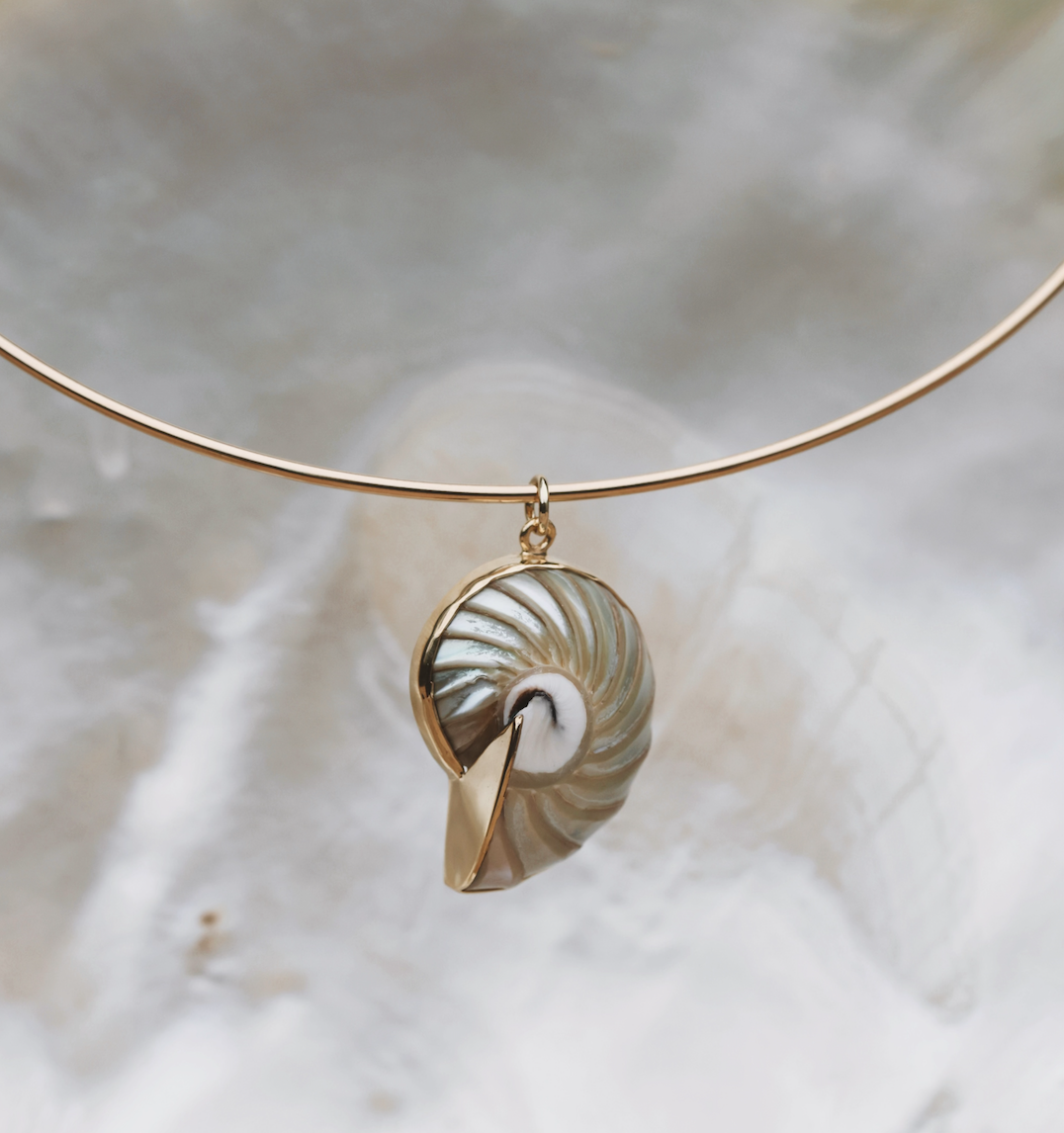 NautilusGoldNecklace.png