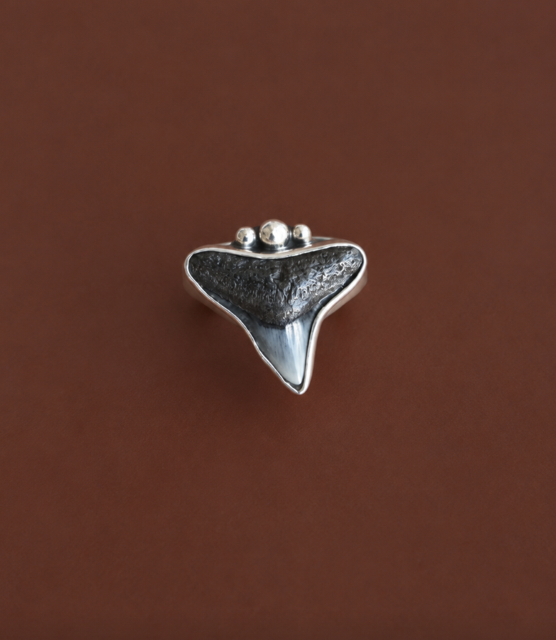 Size 8 Fossilised Shark tooth Ring