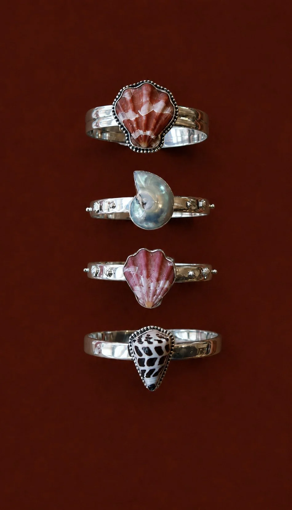 Shell Bangles.jpg