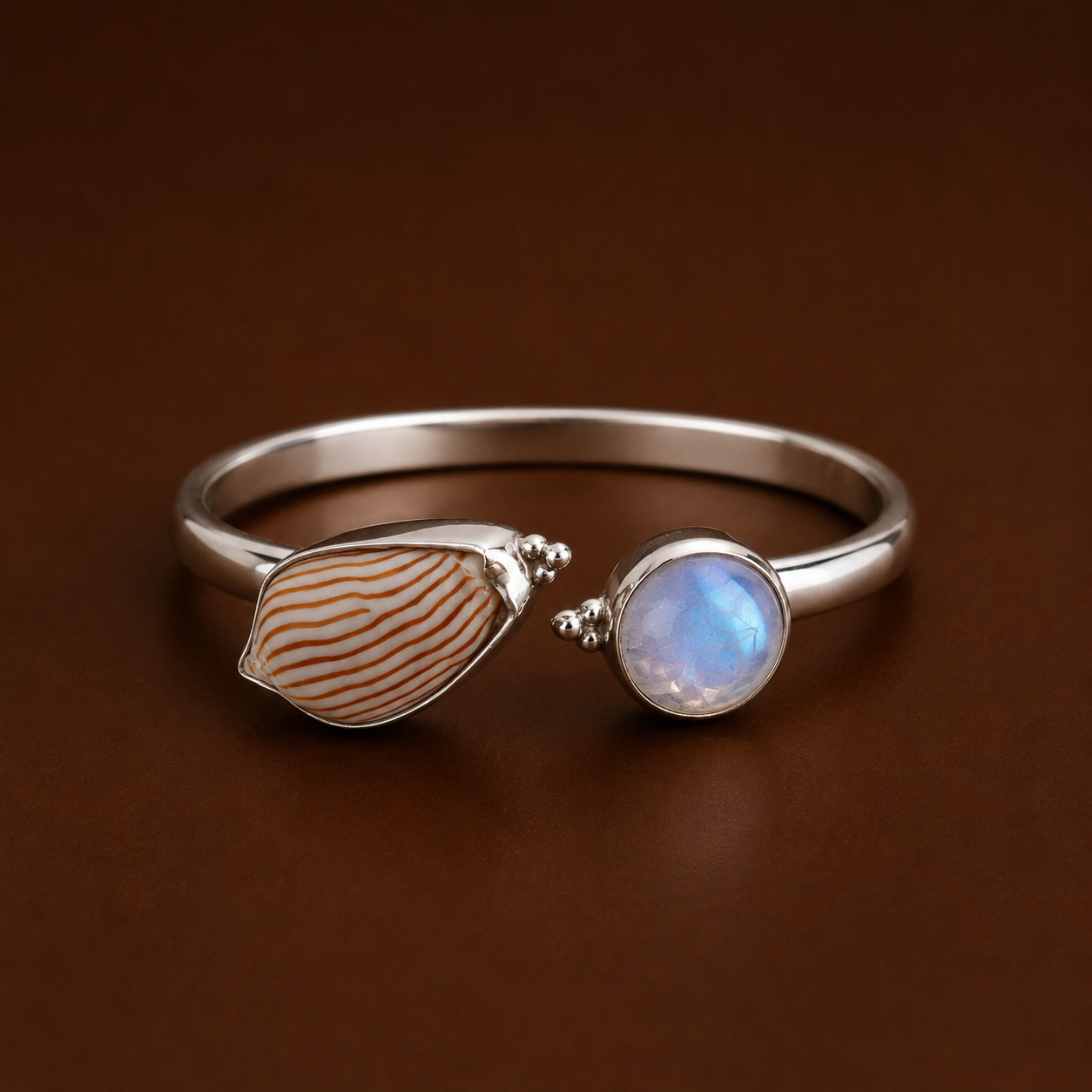 Zebra Volute Shell and Moonstone Cuff
