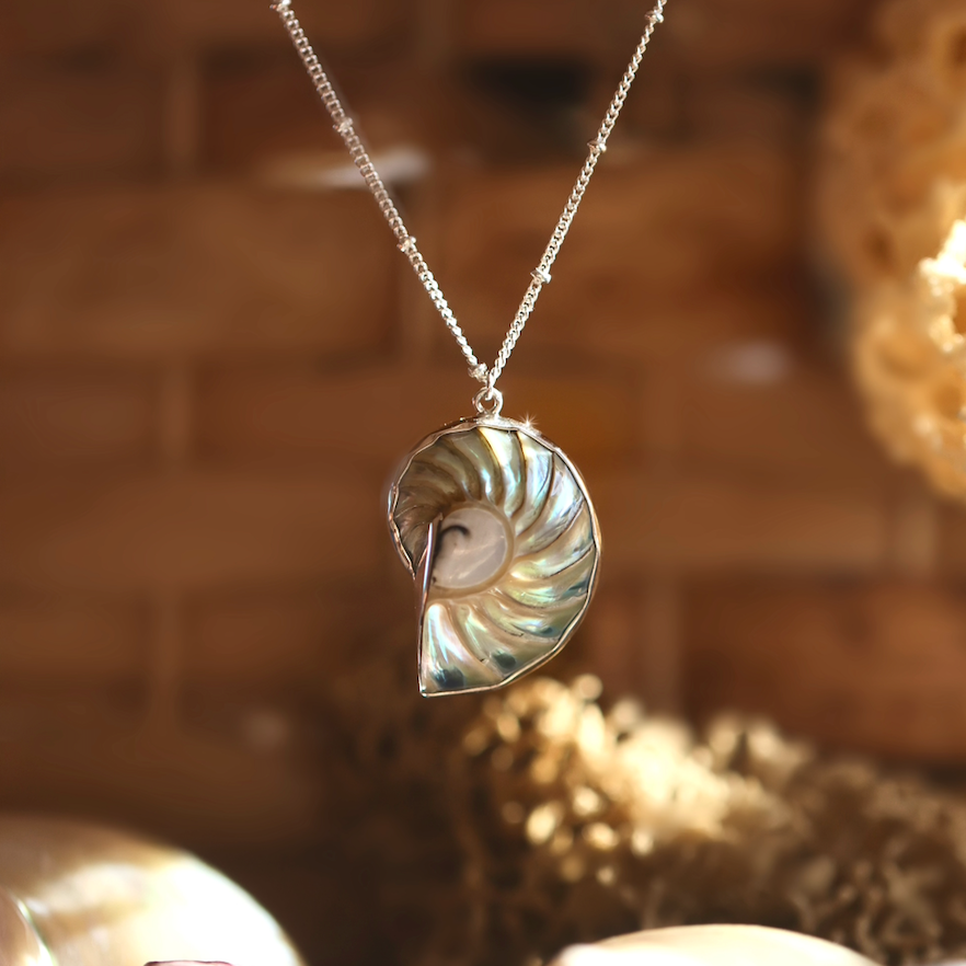 Pearlescent nautilus Necklace