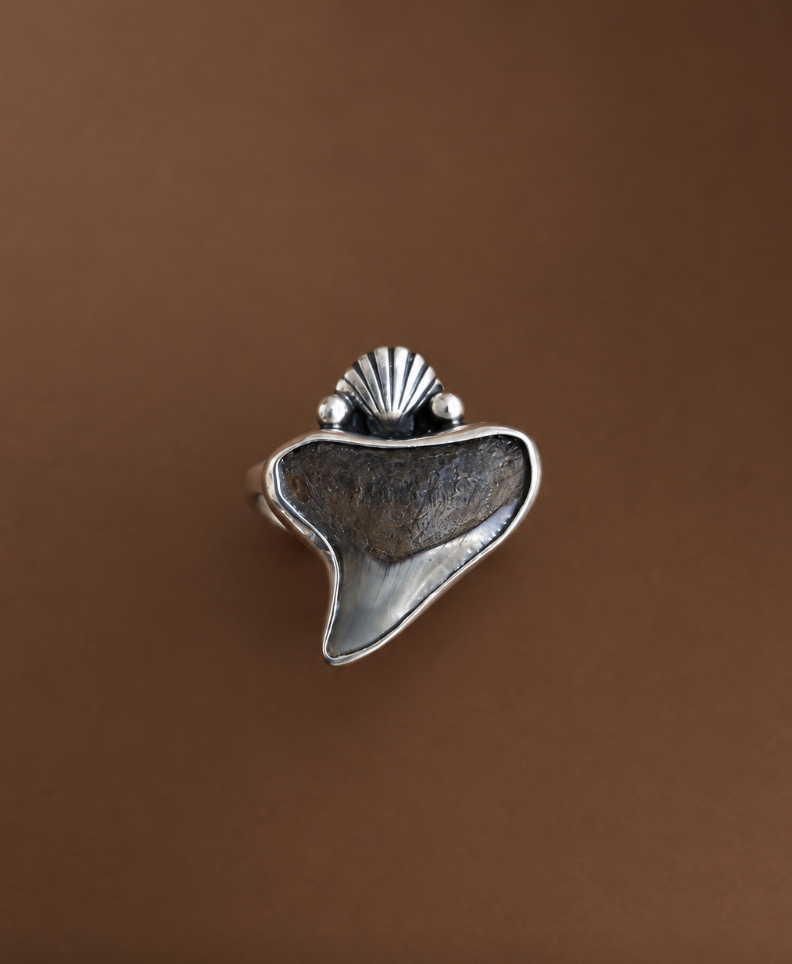 Size 8 Fossilised Shark tooth and Clam Ring