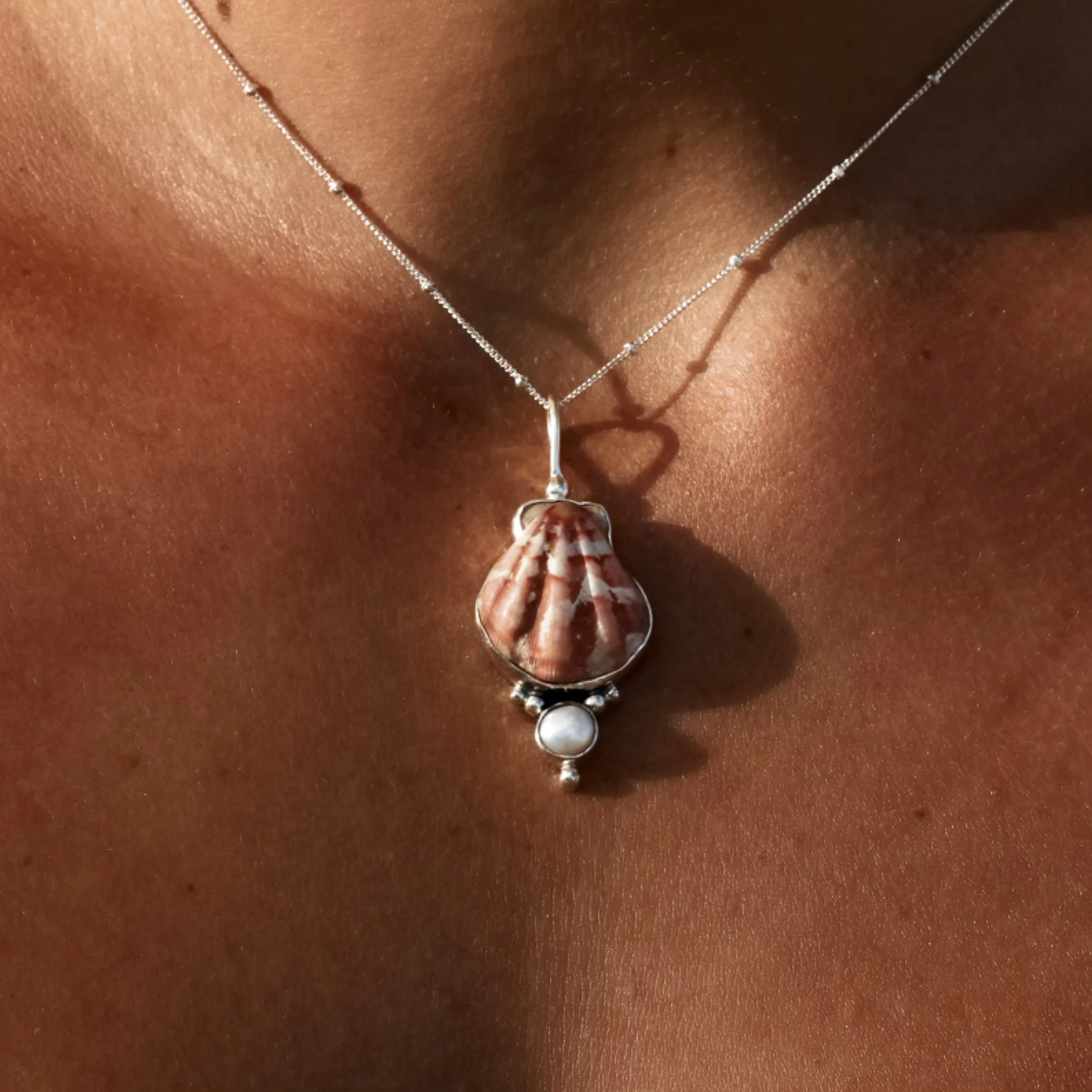 Pearl_pecten09-02-2026-07-05-07 3.jpg