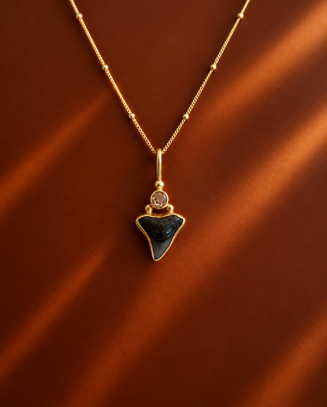 Fossilised Shark tooth and Tourmaline Stone Pendant