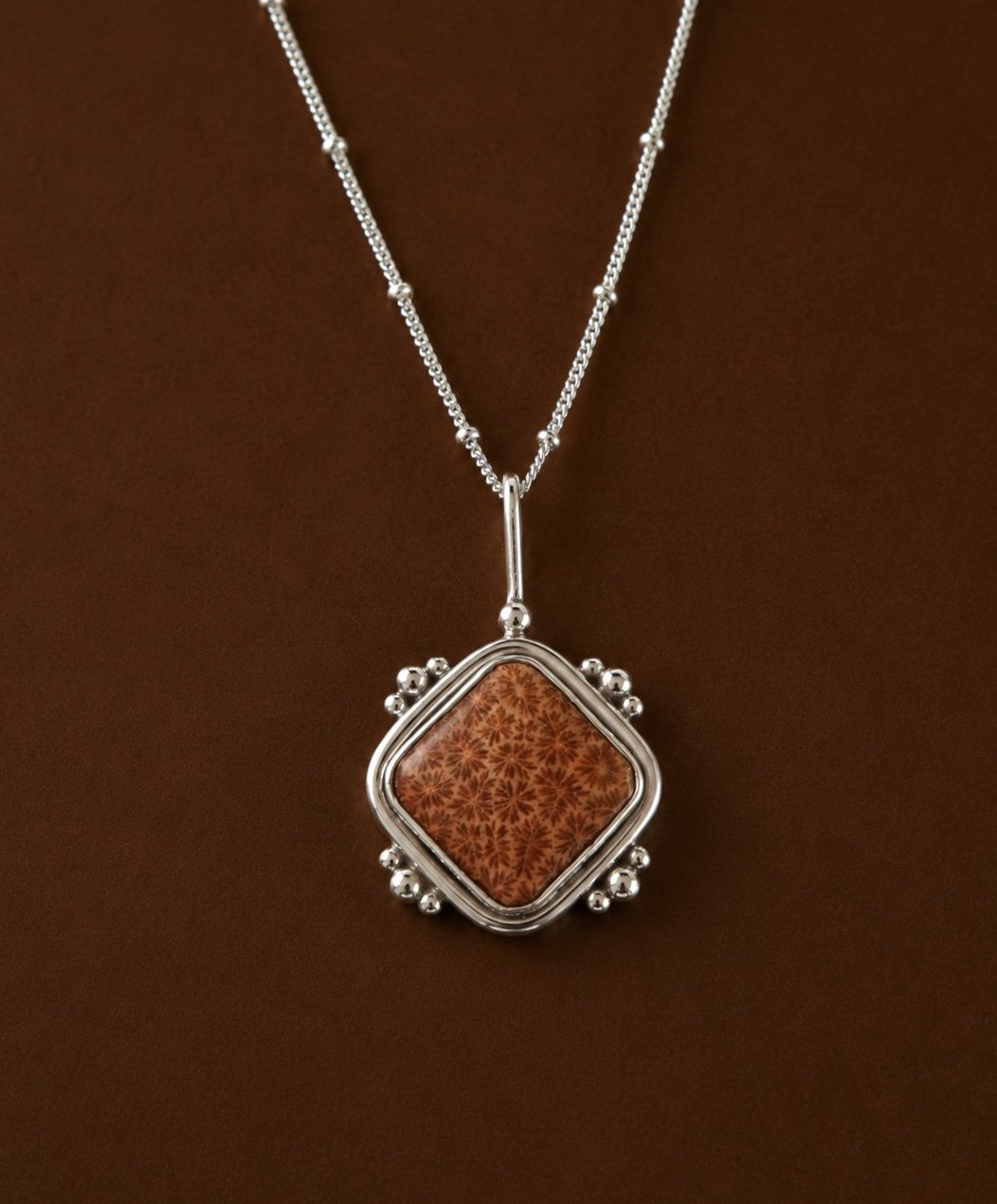 FossiliseddCoral.jpg