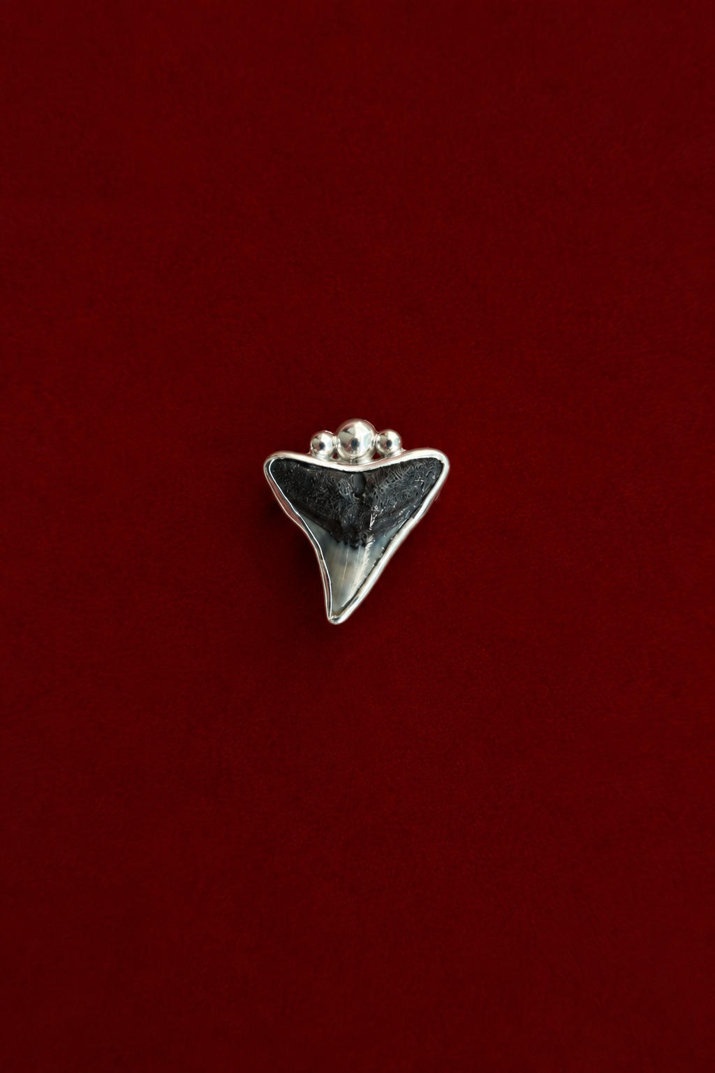 Size 8 Fossilised Shark tooth Ring