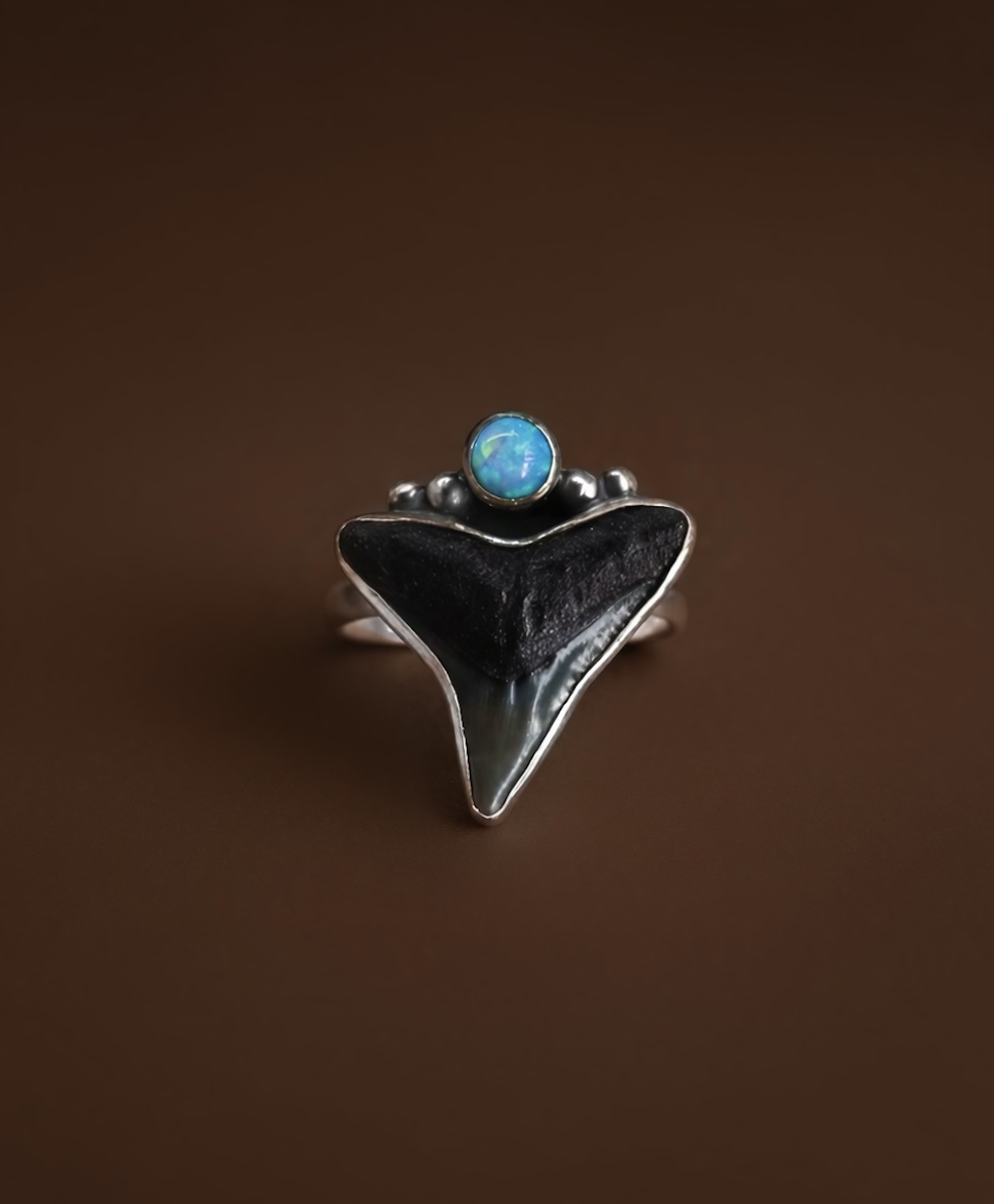 Screenshot 2026-03-22 at 1.03.36 PM.png