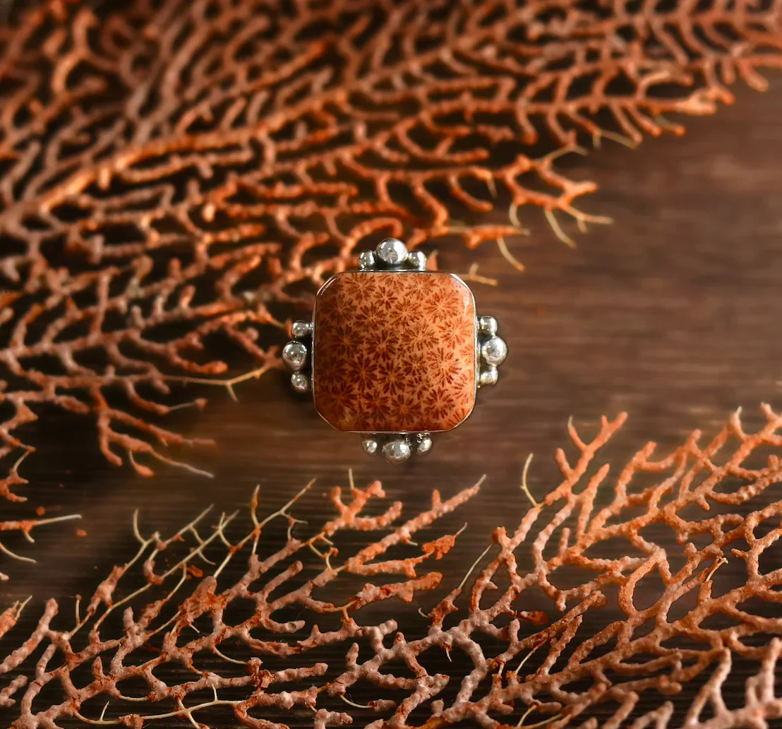 Fossilised Coral Ring Size 8