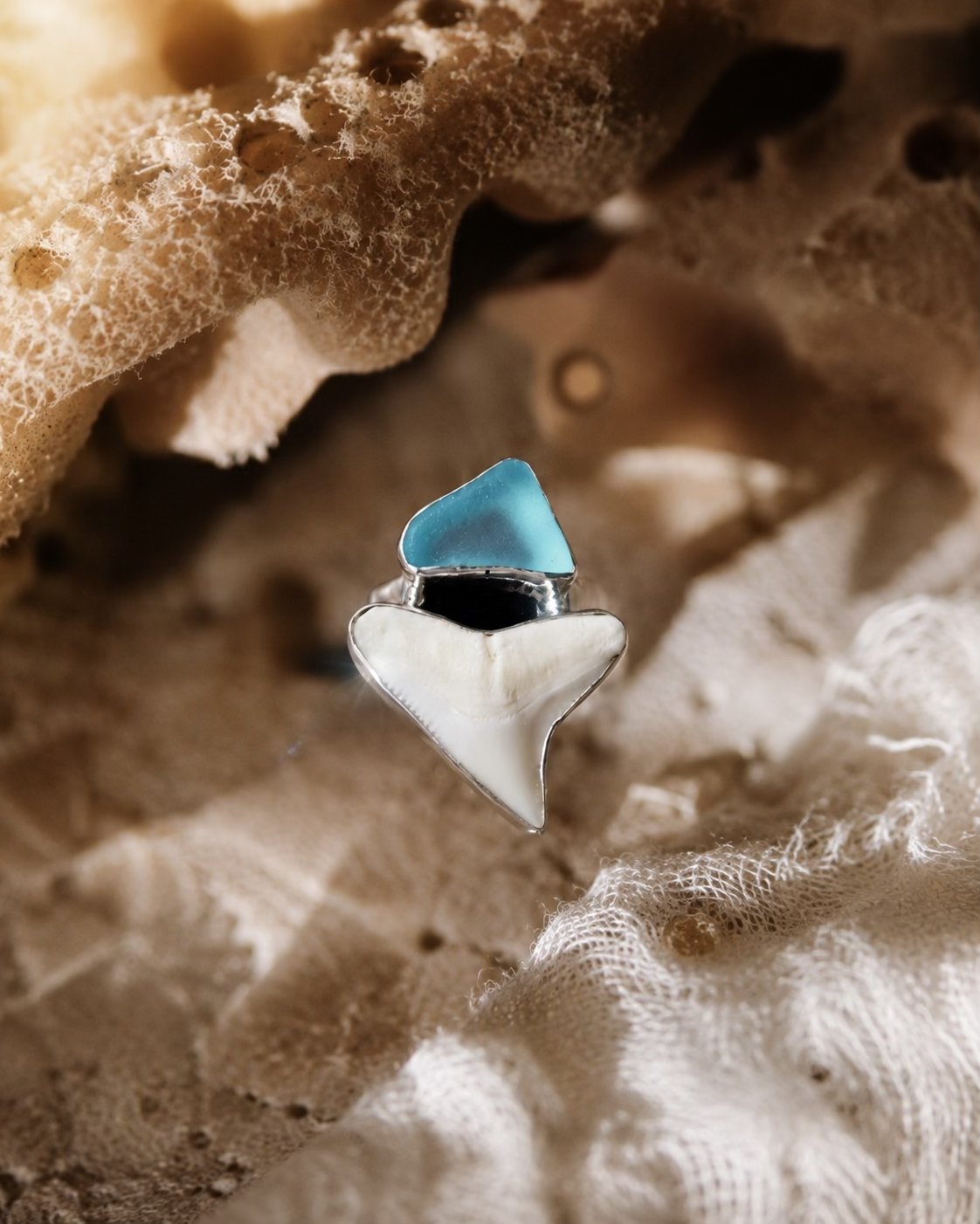 Teal_sharktooth.jpg