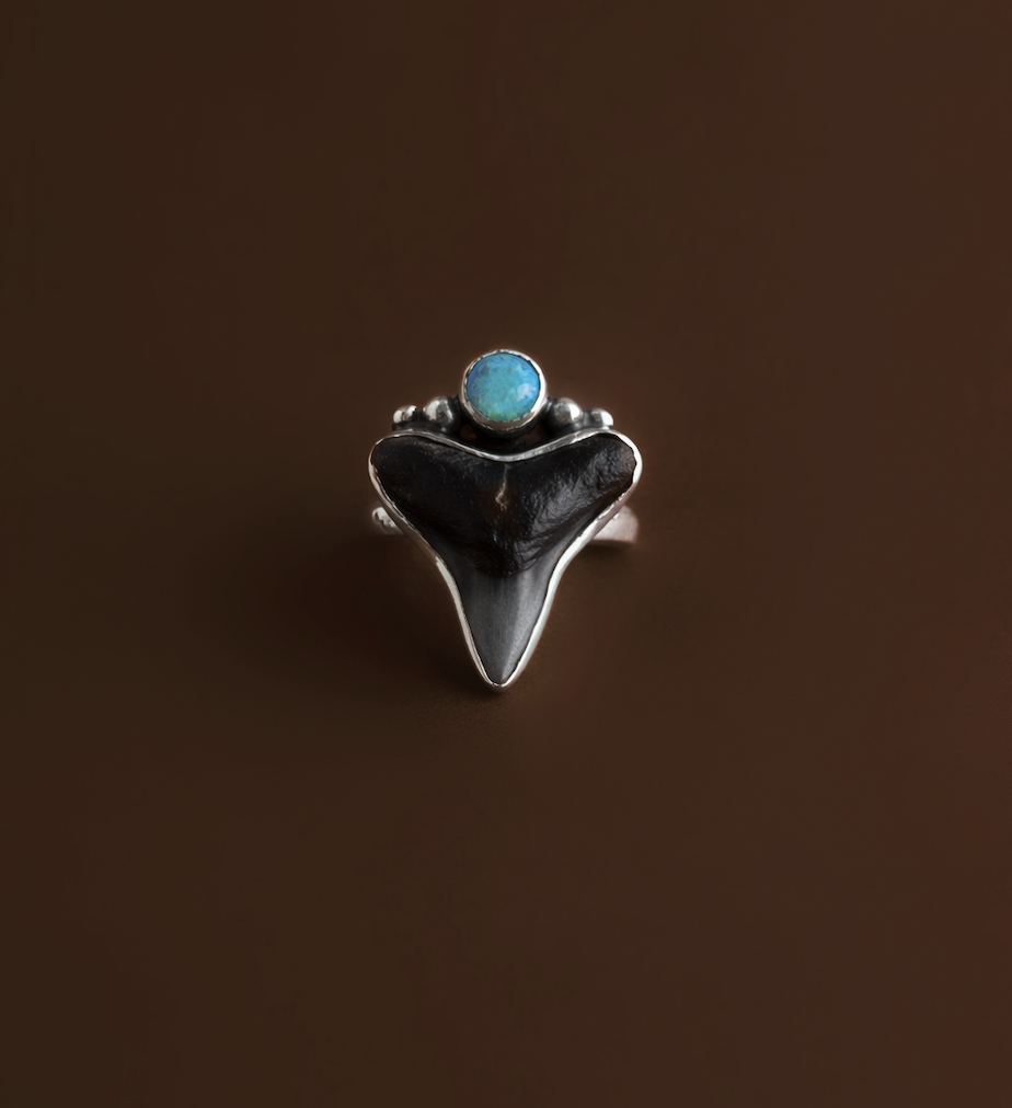 Screenshot 2026-03-22 at 12.58.08 PM.png