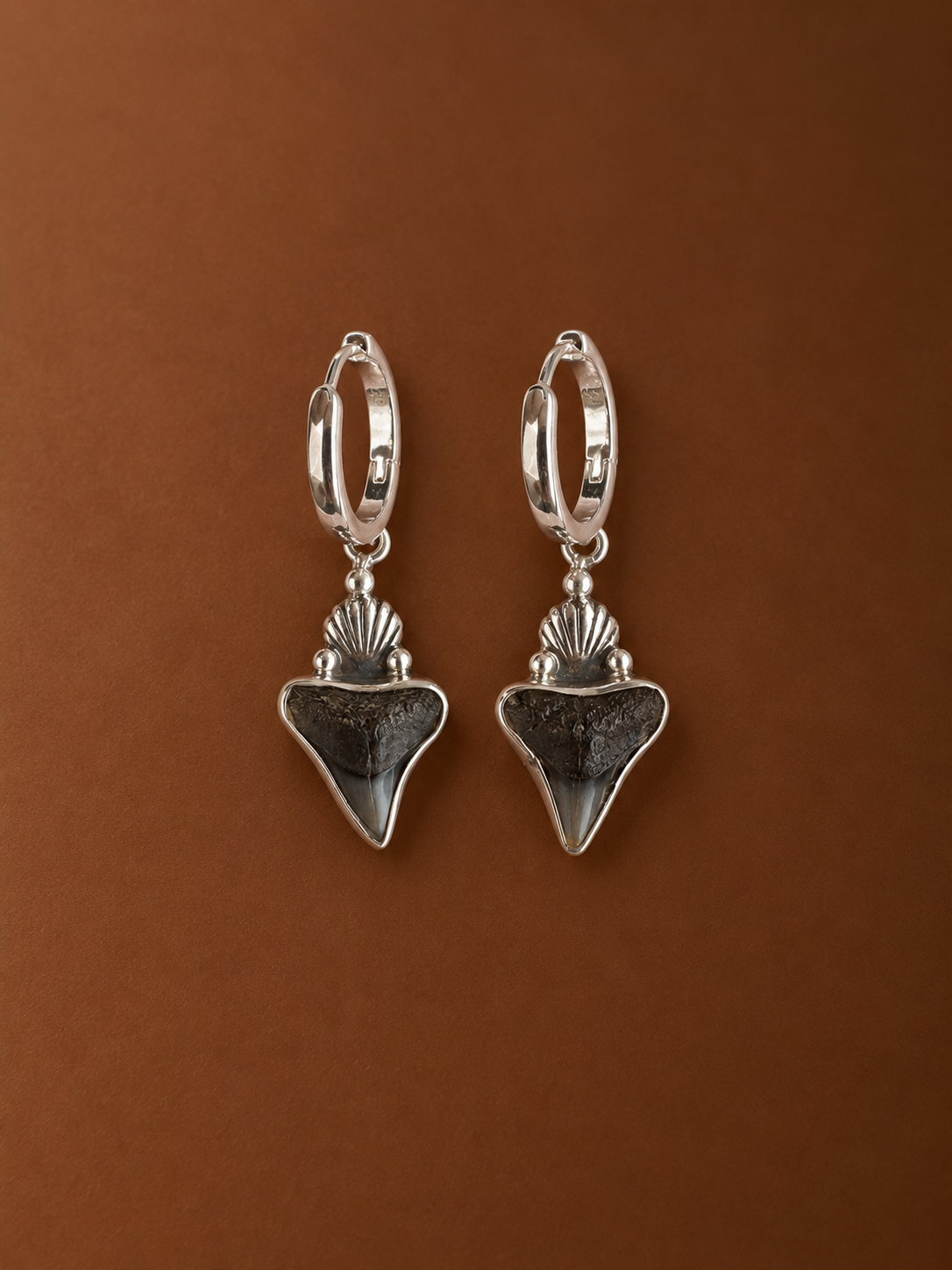 Silver Fossilised Shark Tooth Earrings