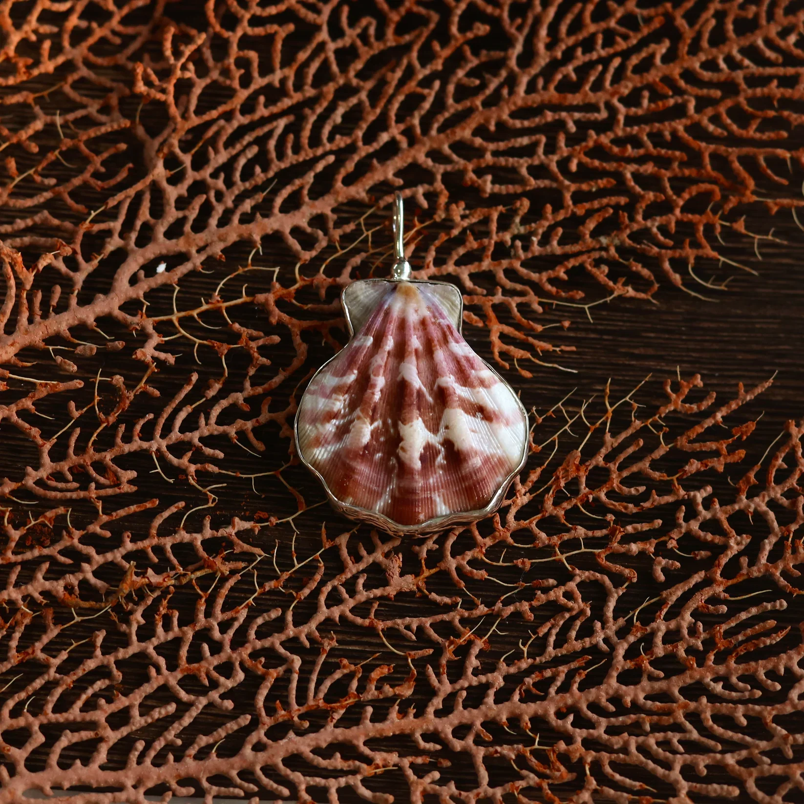 Large Decatopecten Necklace2032.webp