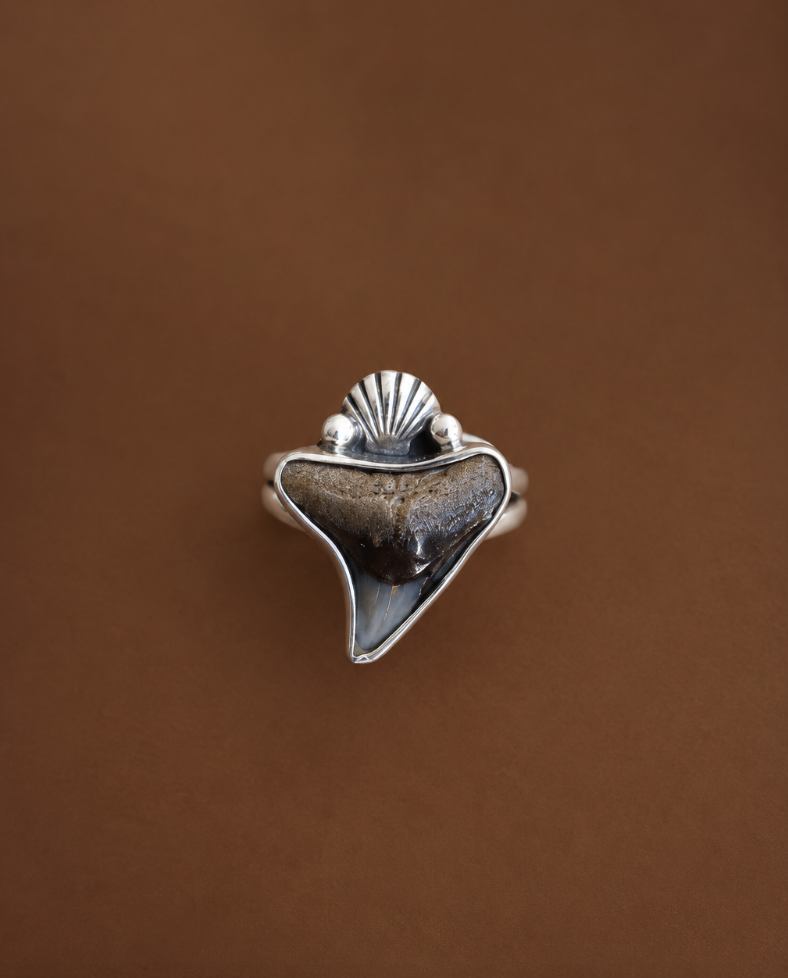 Size 7 Fossilised Shark tooth and Clam Ring