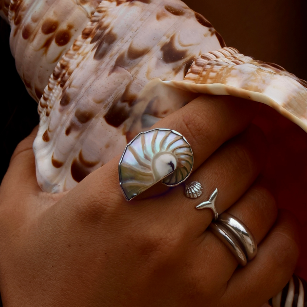 pearlescent nautilus ring 8-11