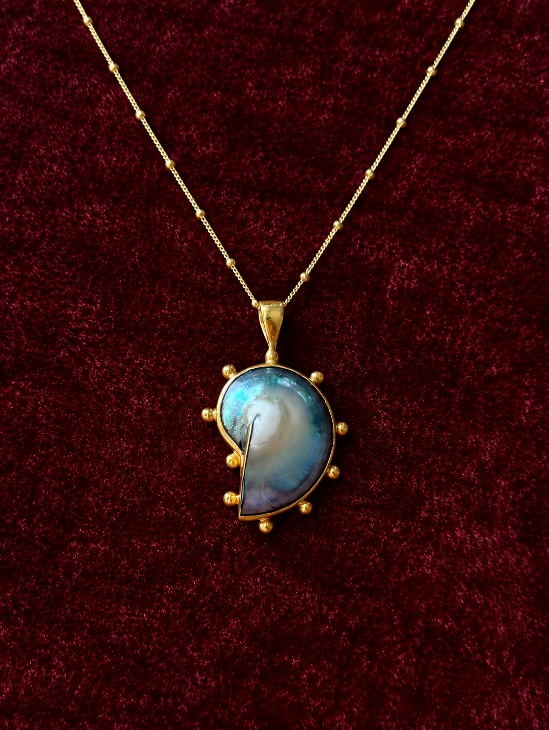 18k Gold Nautilus Necklace