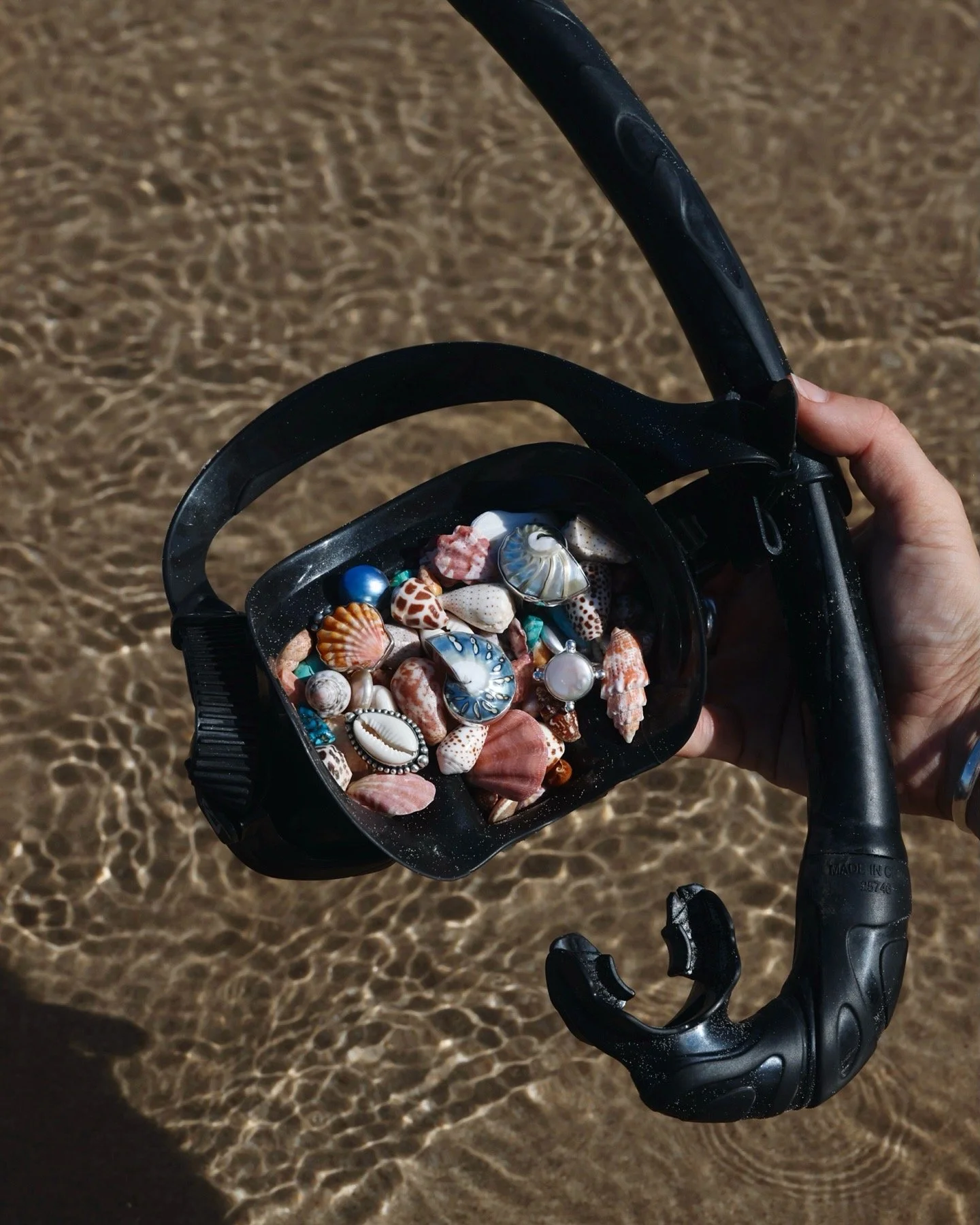 Nudibranch Nautilus_SilverPG.JPG