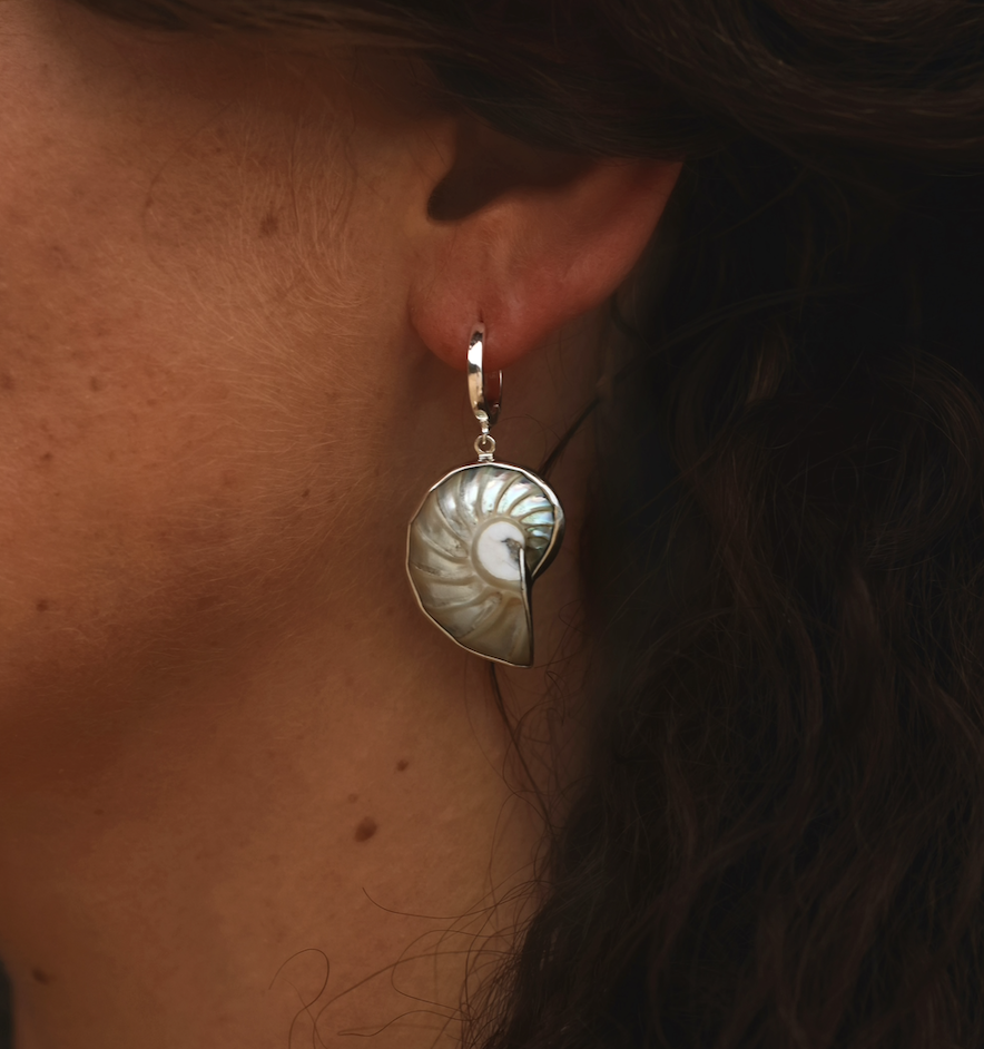 Pearlescent Nautilus Earrings