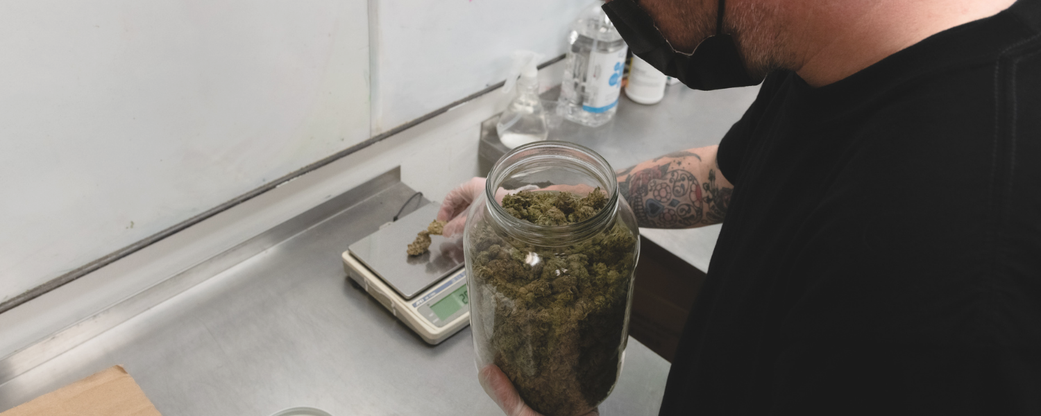 _Services Image 4.png