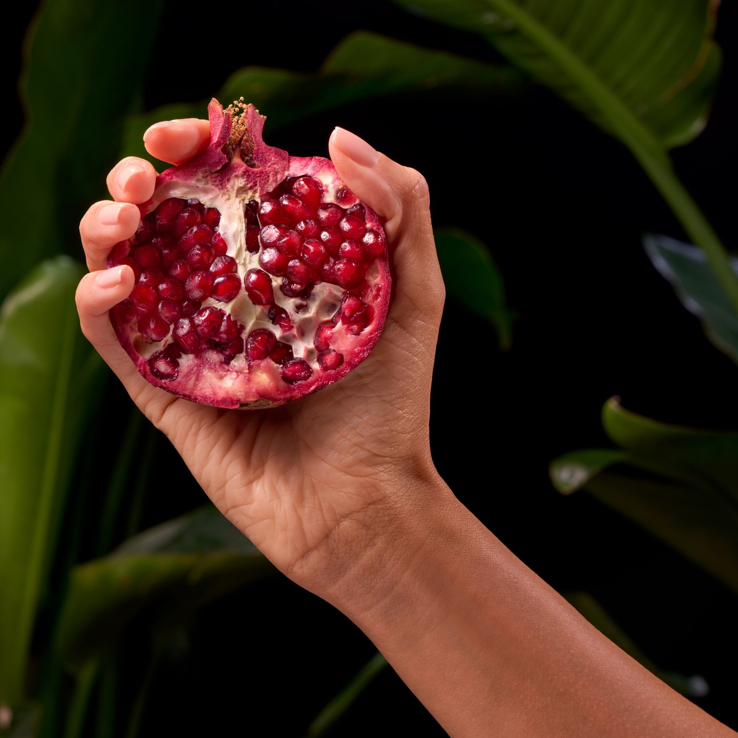 HANDS AND LEAVES_901_VS_R2.jpg