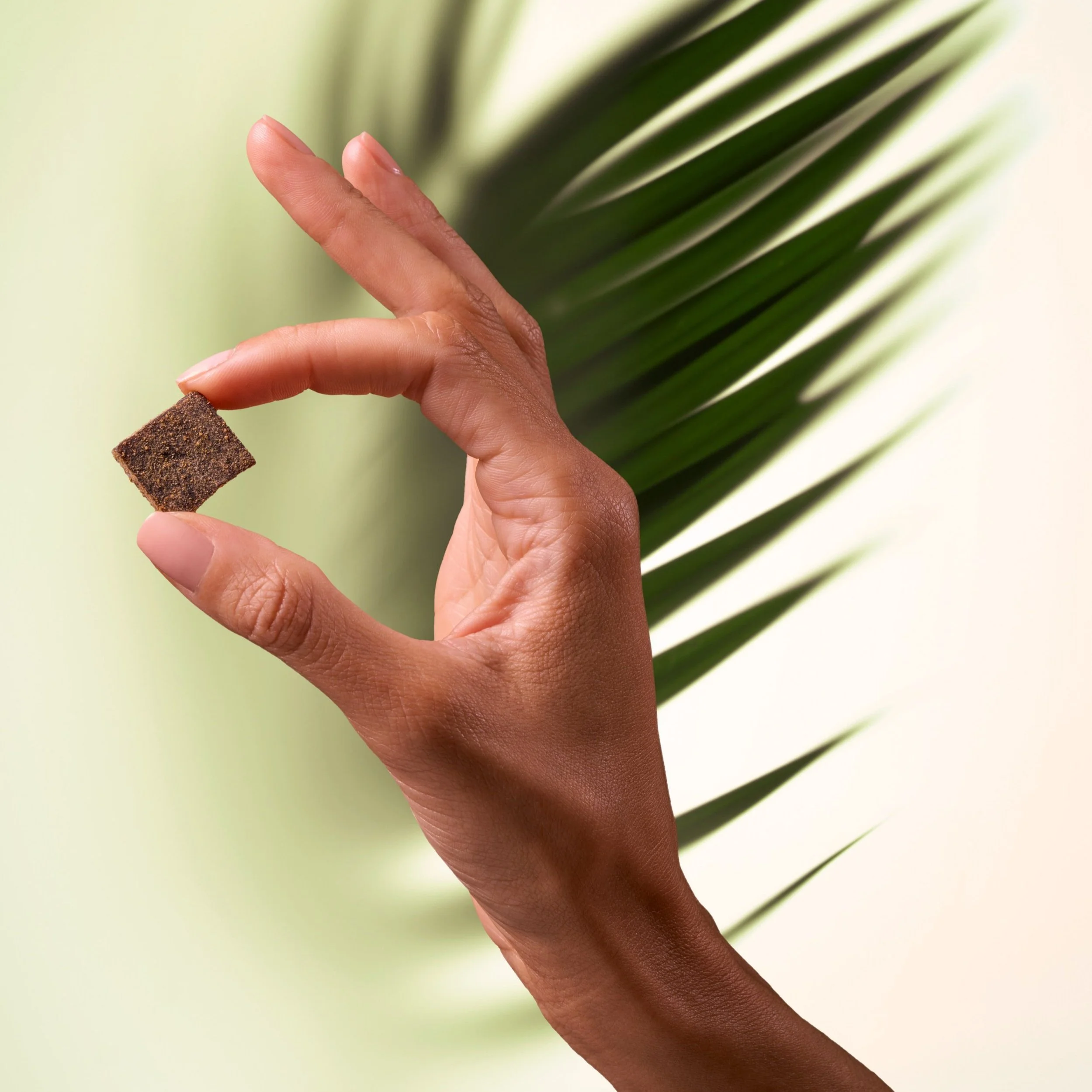 HANDS AND LEAVES_679_ALT_VS_R1.jpg
