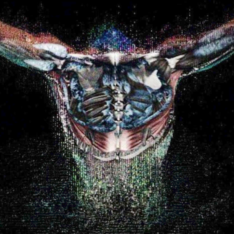 Screen Shot 2018-11-24 at 8.42.34 PM.png