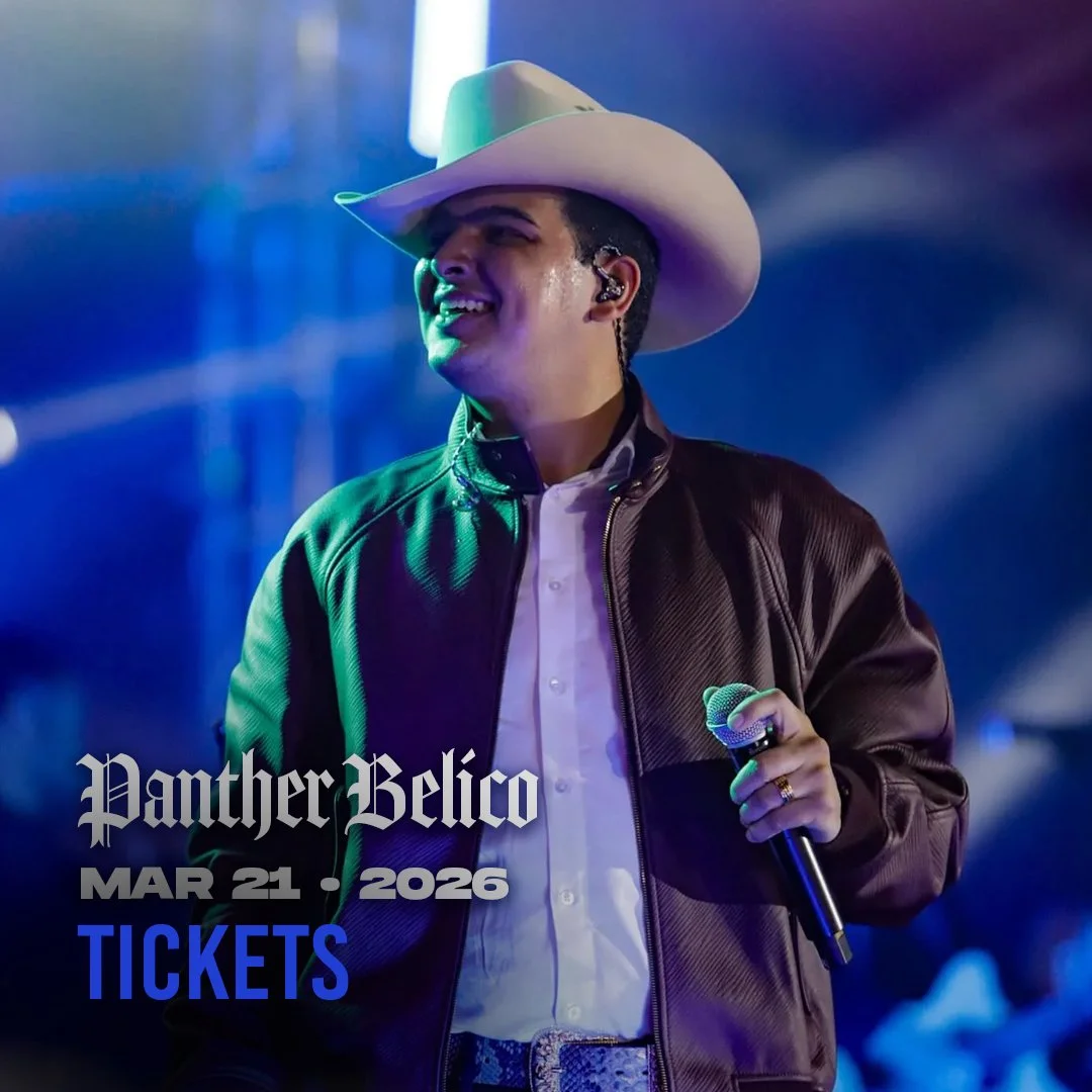 Panther Belico WEBSITE.jpg