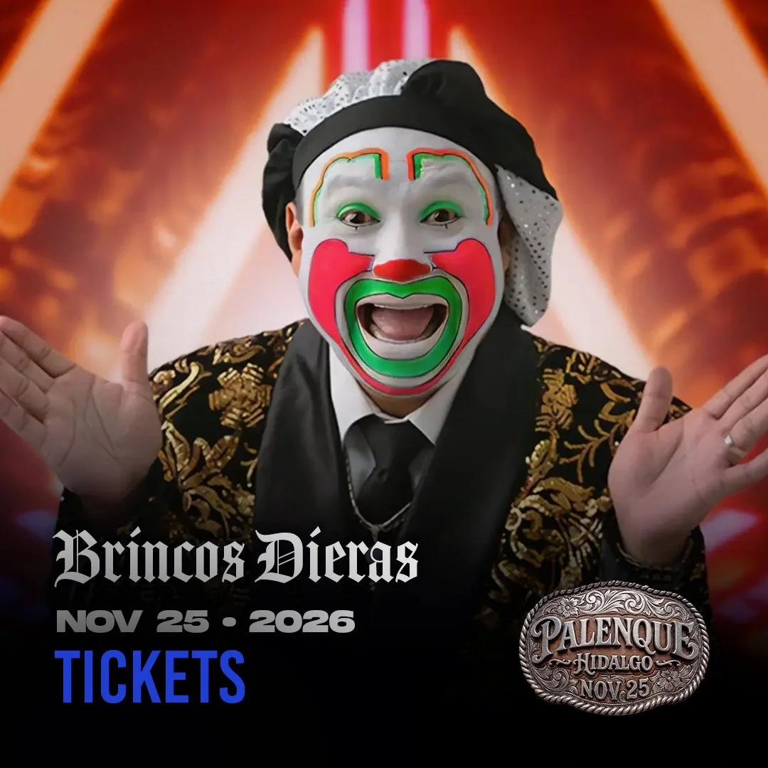Brincos Dieras WEBSITE.jpg